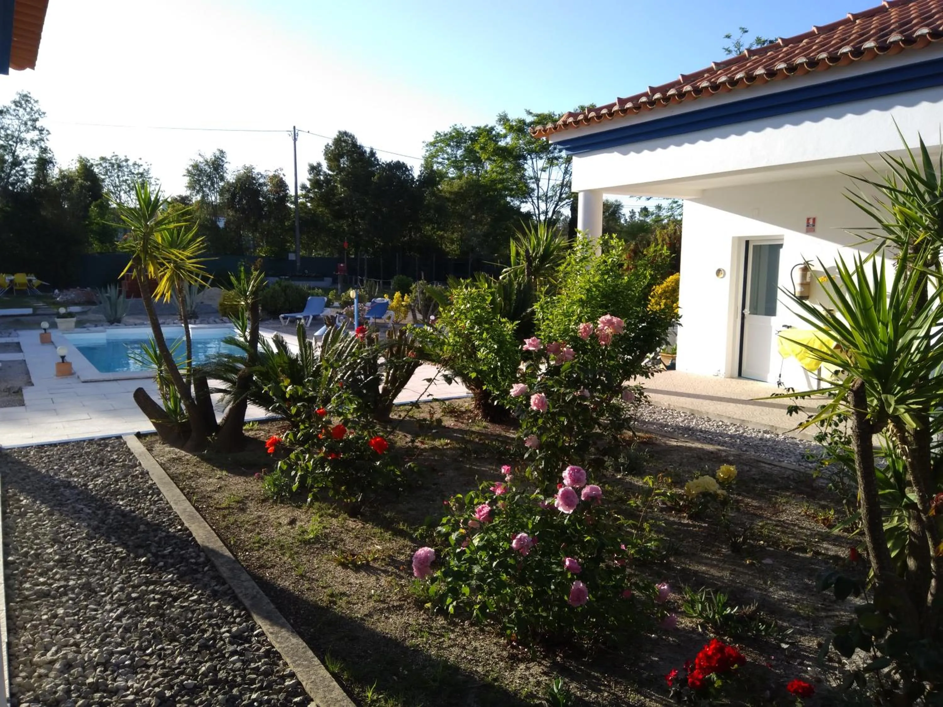 Garden in Casa Zanzibar Hotel