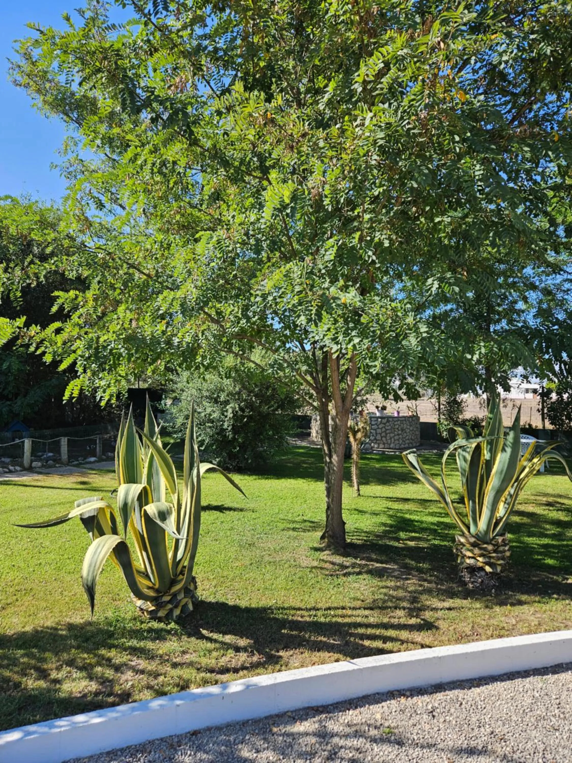 Garden in Casa Zanzibar Hotel