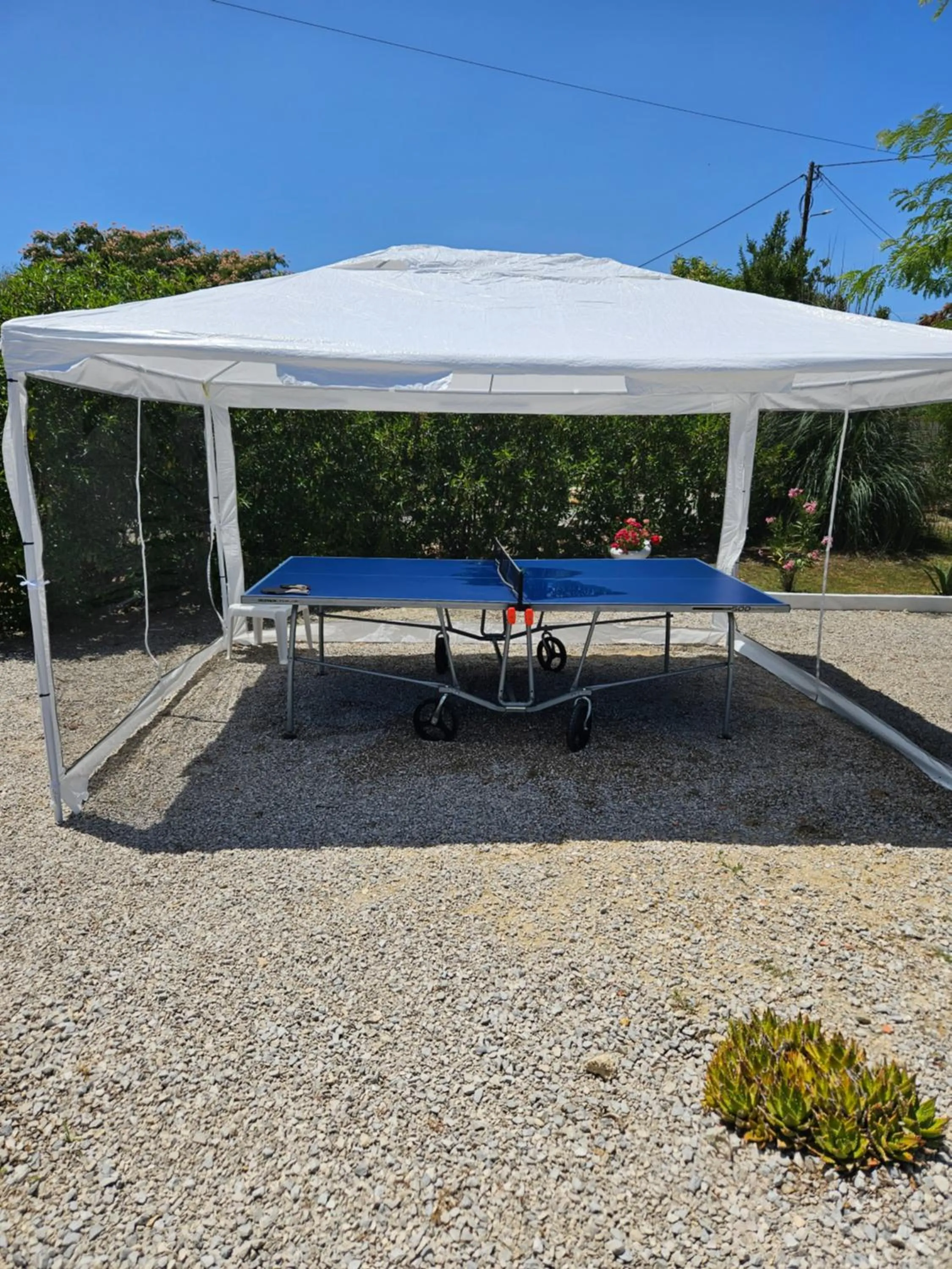 Table tennis in Casa Zanzibar Hotel
