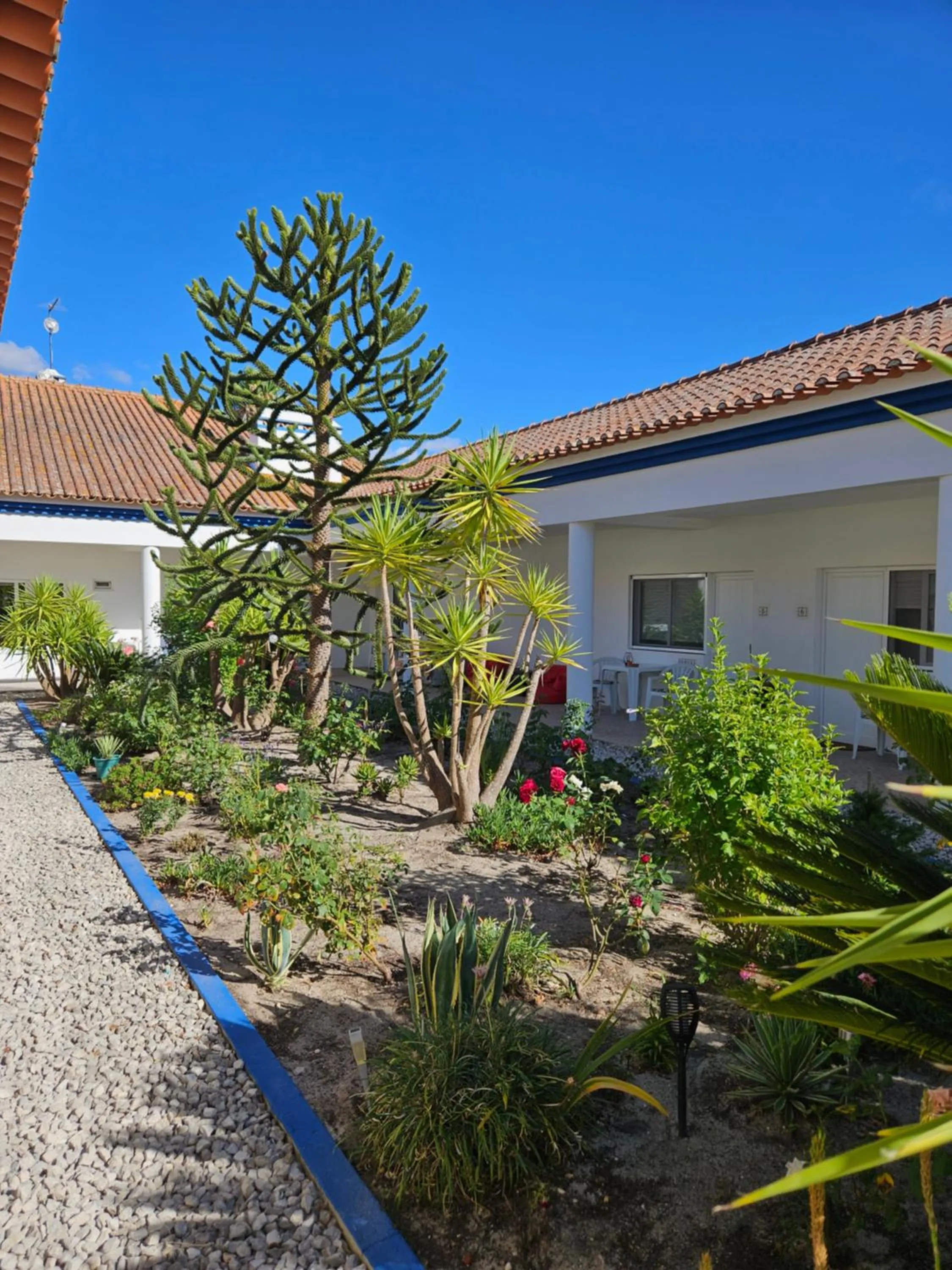 Garden in Casa Zanzibar Hotel