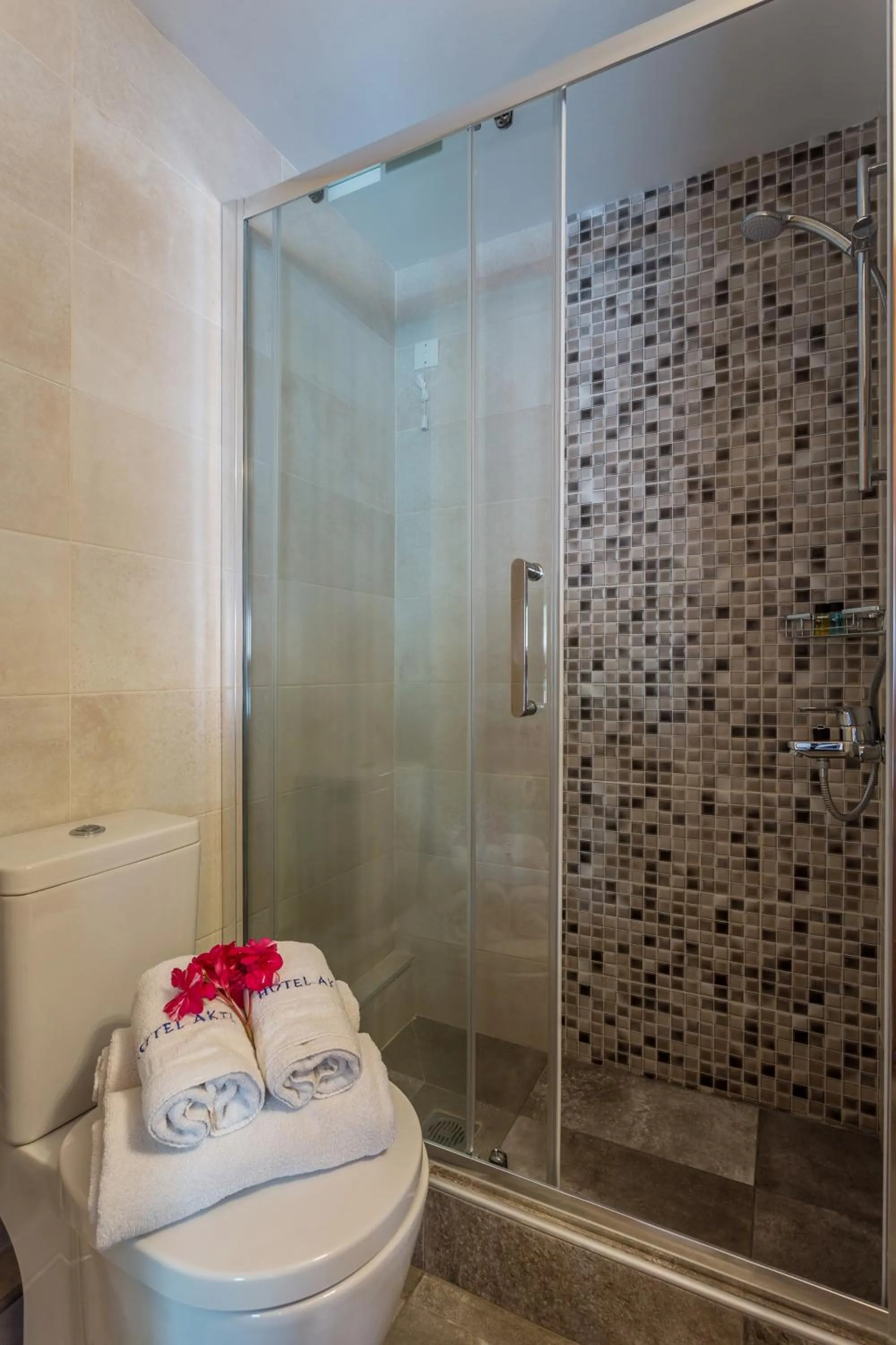 Shower in Hotel Akti