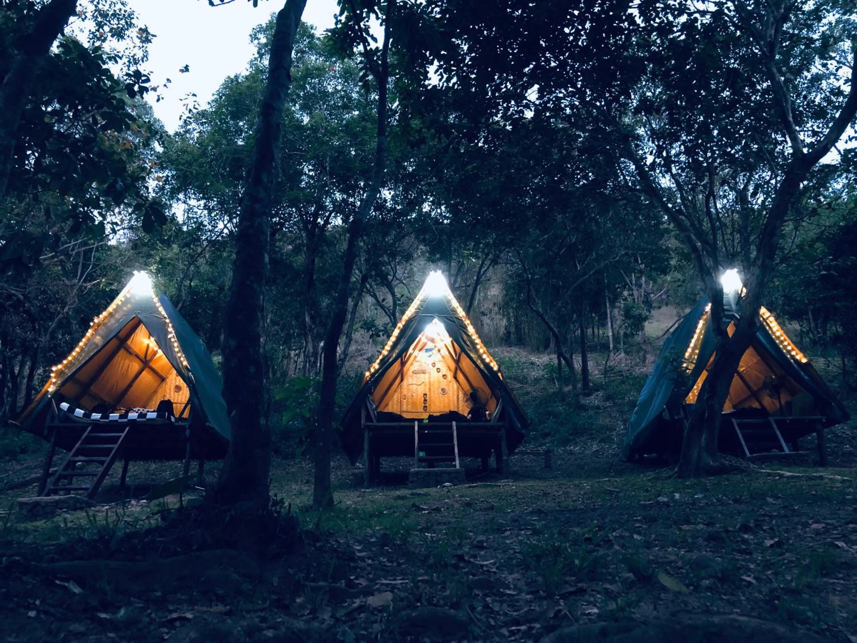 Mount Avangan Eco Adventure Park