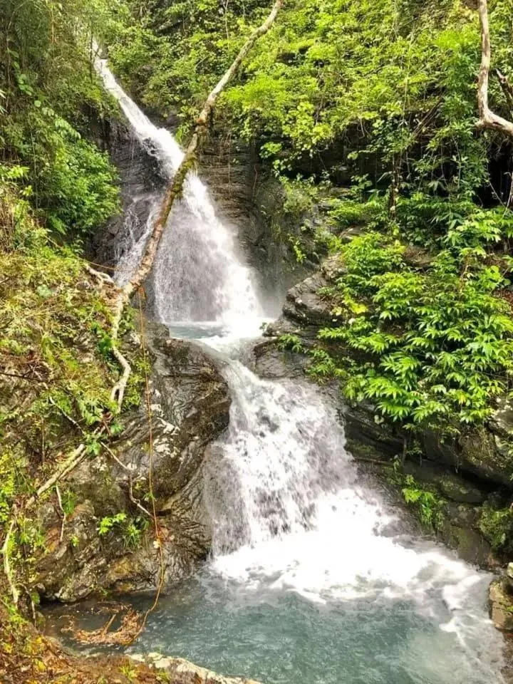 Mount Avangan Eco Adventure Park