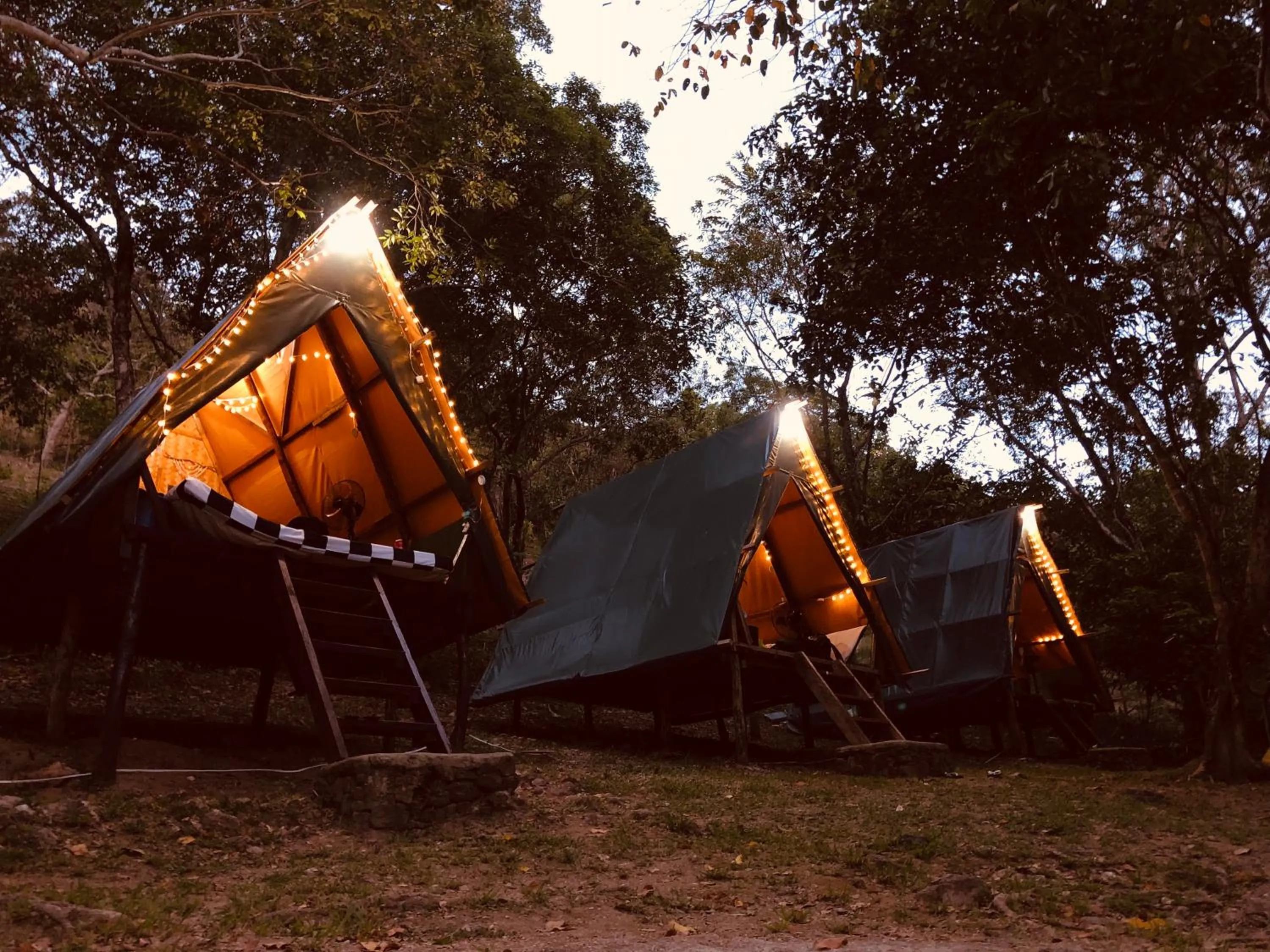 Mount Avangan Eco Adventure Park