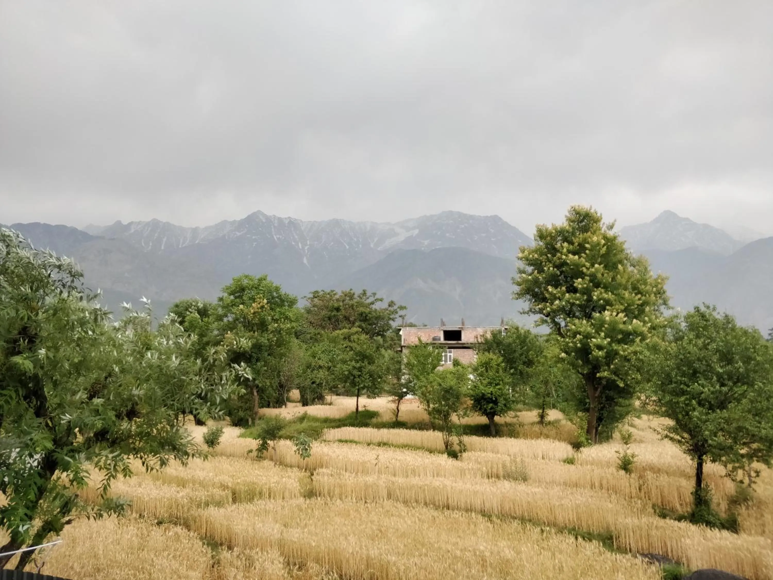 Mountain view in D'Polo Club & Spa Resort