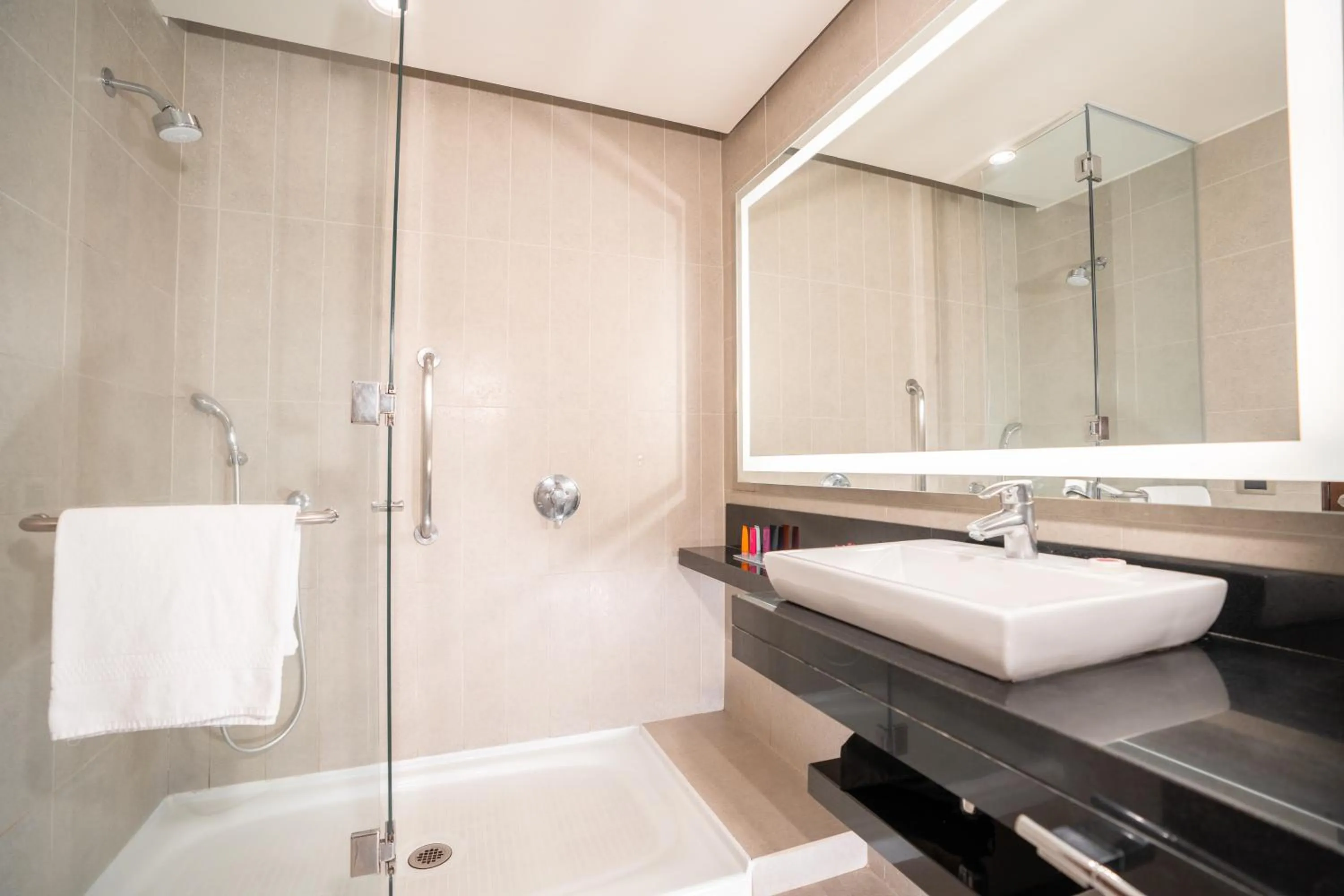 Bathroom in Hilton Garden Inn Santiago Airport