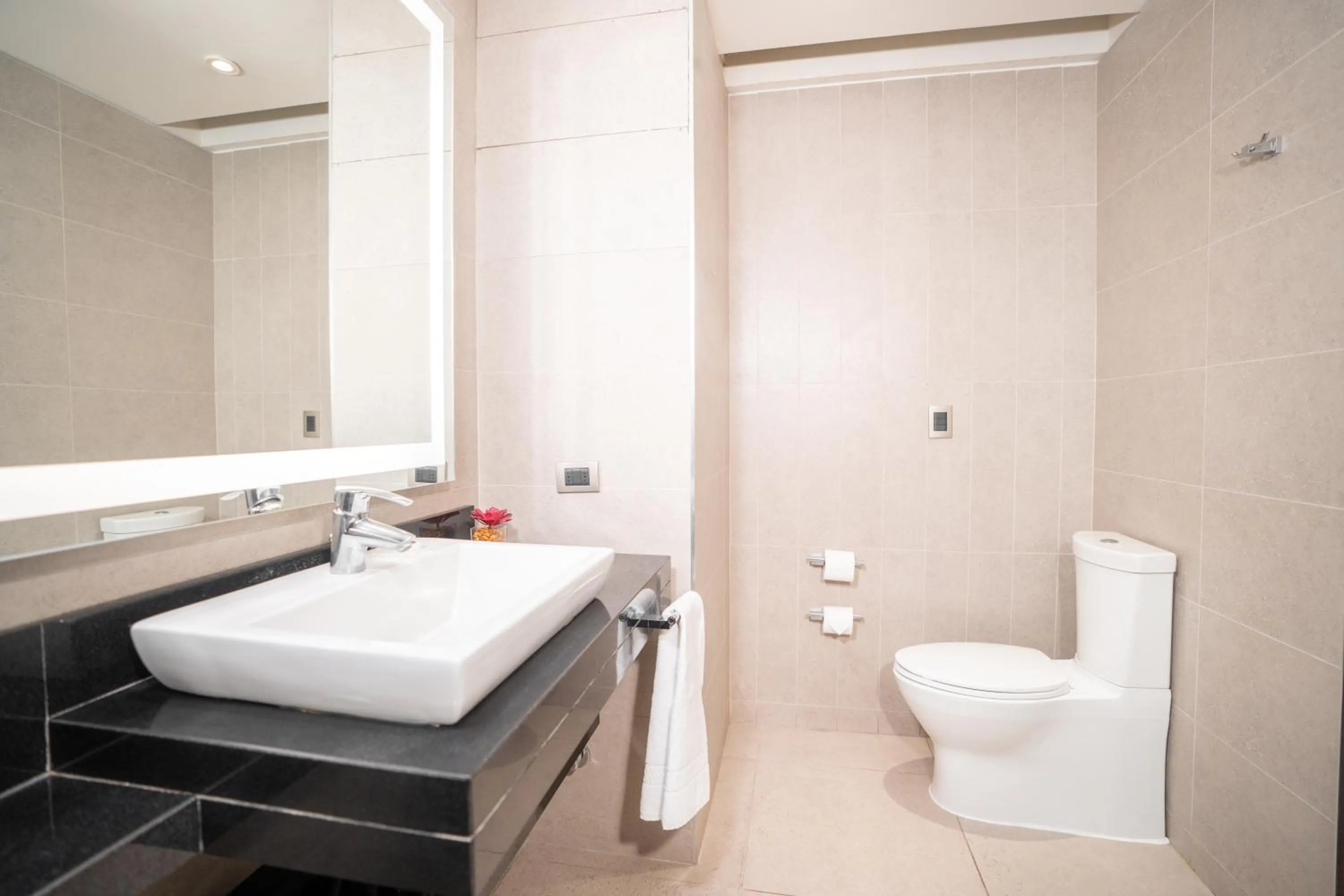 Shower in Hilton Garden Inn Santiago Airport