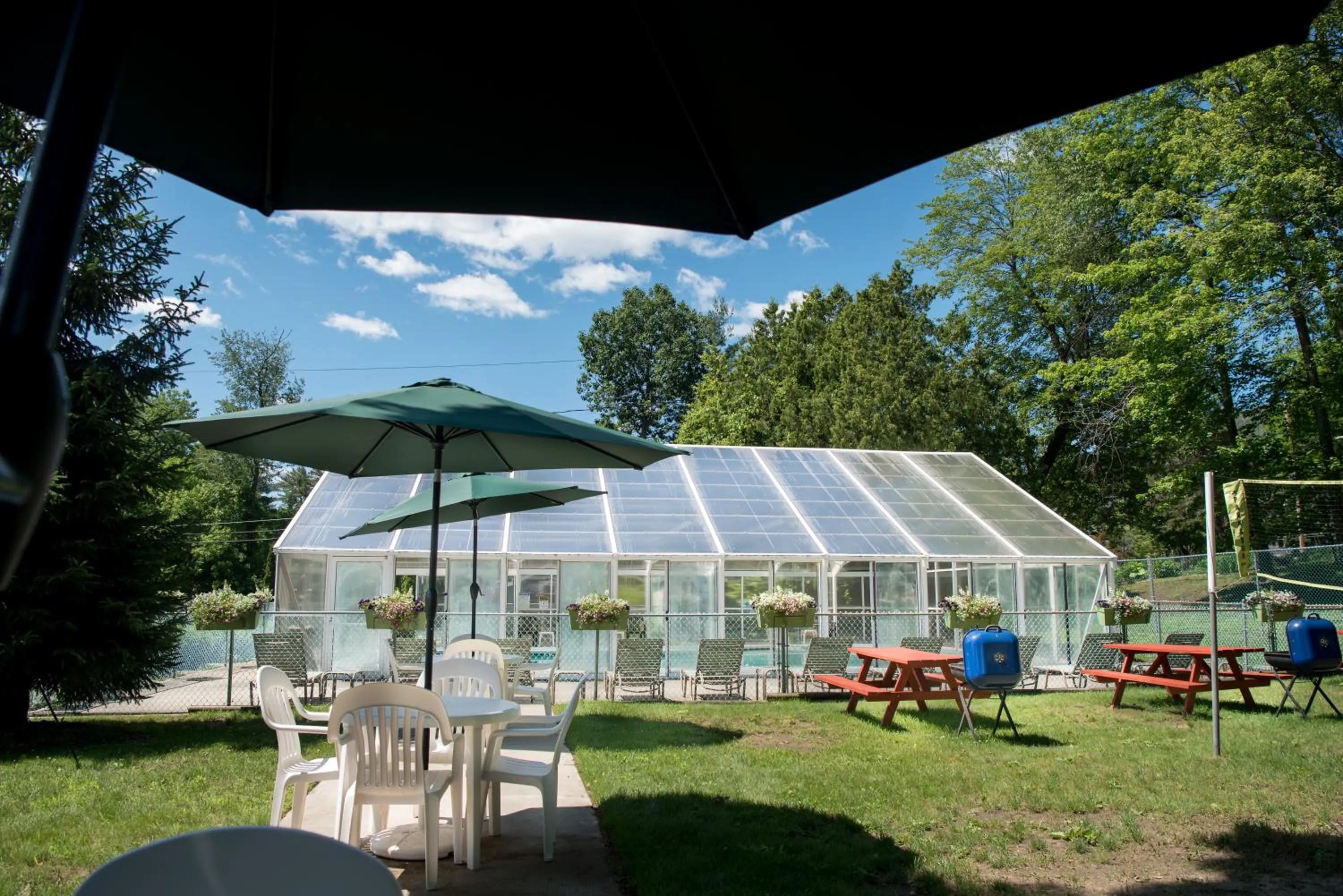 BBQ facilities in Adirondack Retreat Inn & Suites