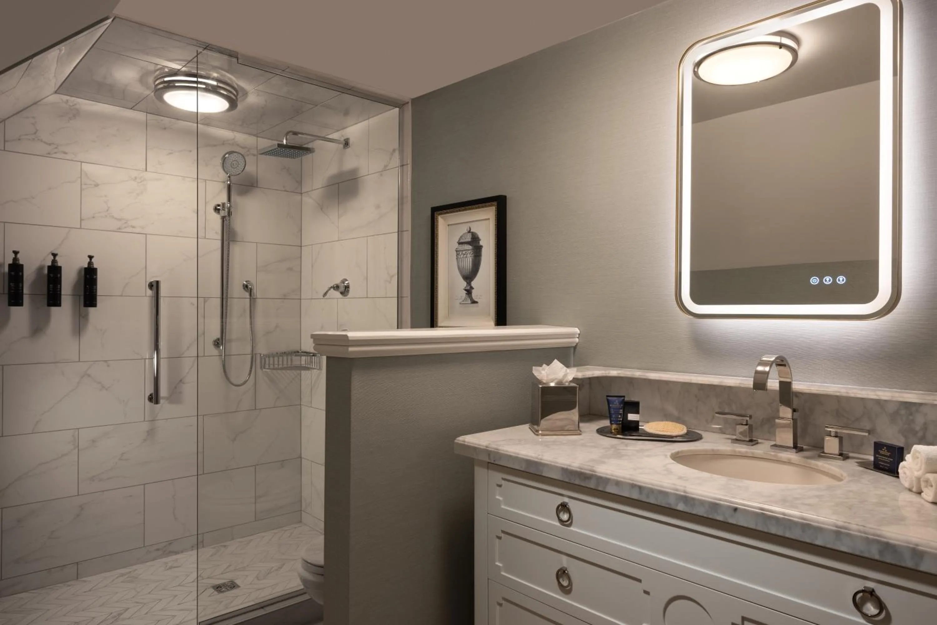 Shower in Hotel Roanoke & Conference Center, Curio Collection by Hilton