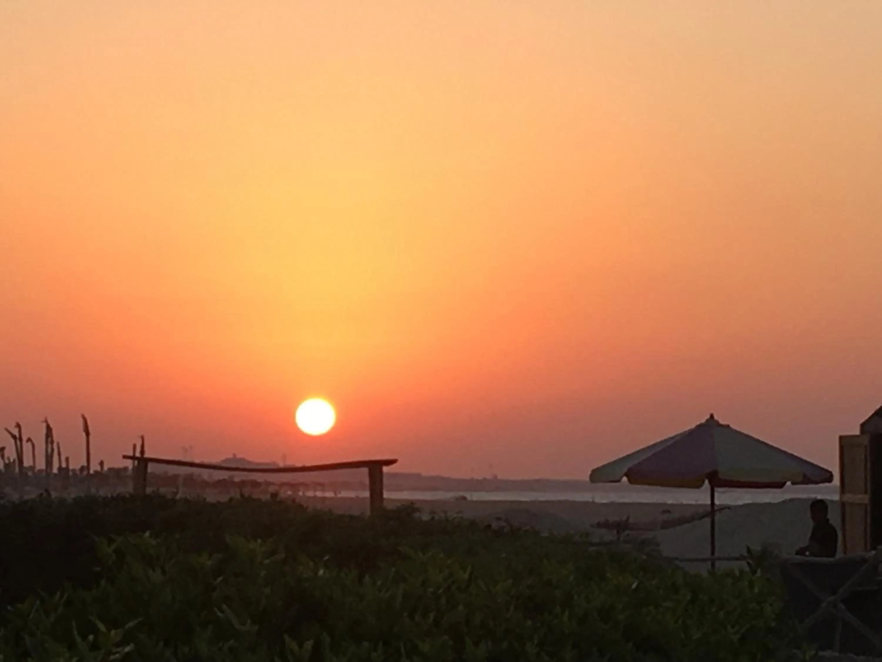 Yahia Blumar North Coast