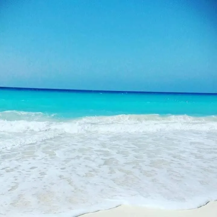 Yahia Blumar North Coast