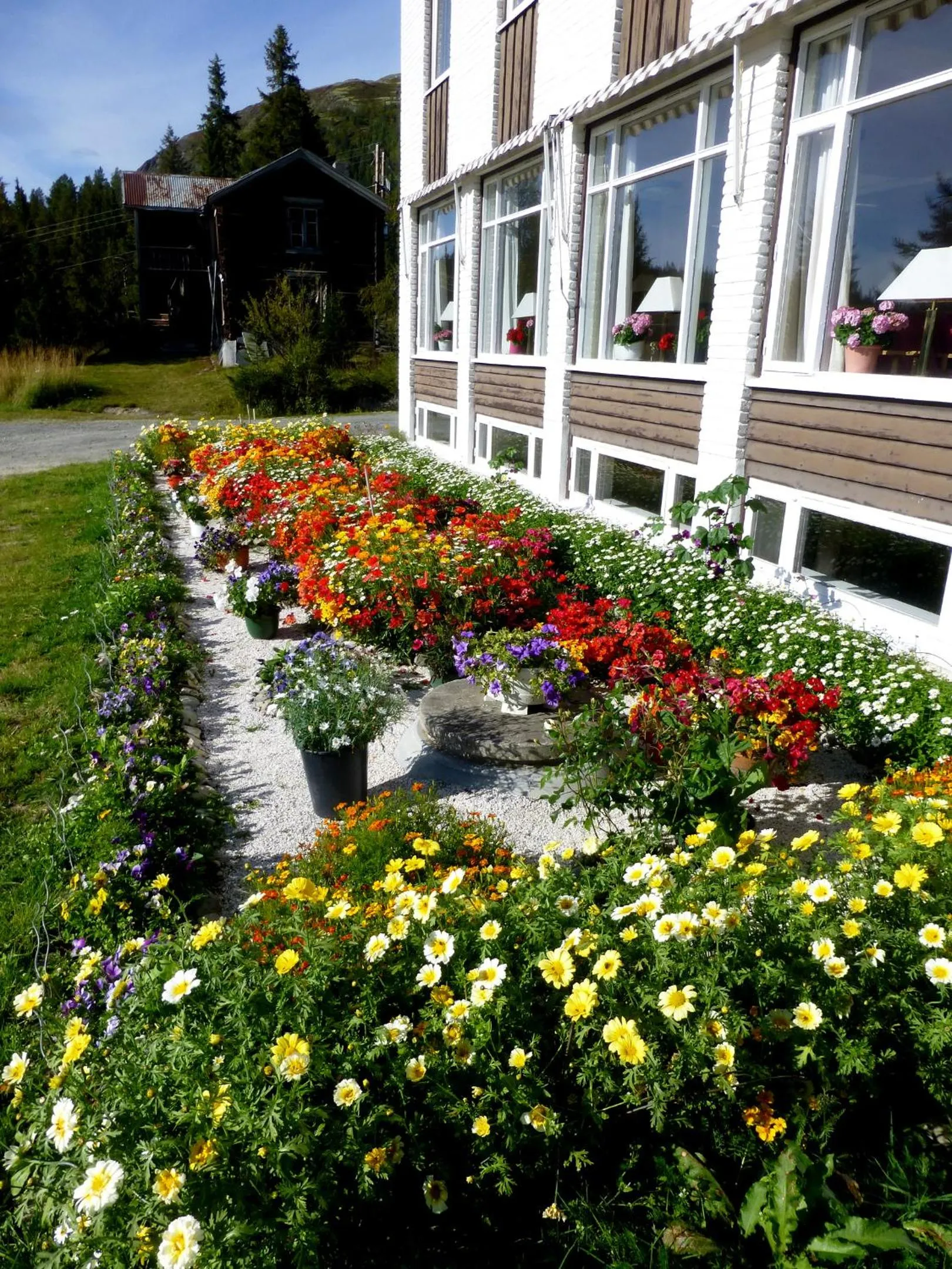 Garden view in Tronsvangen Seter