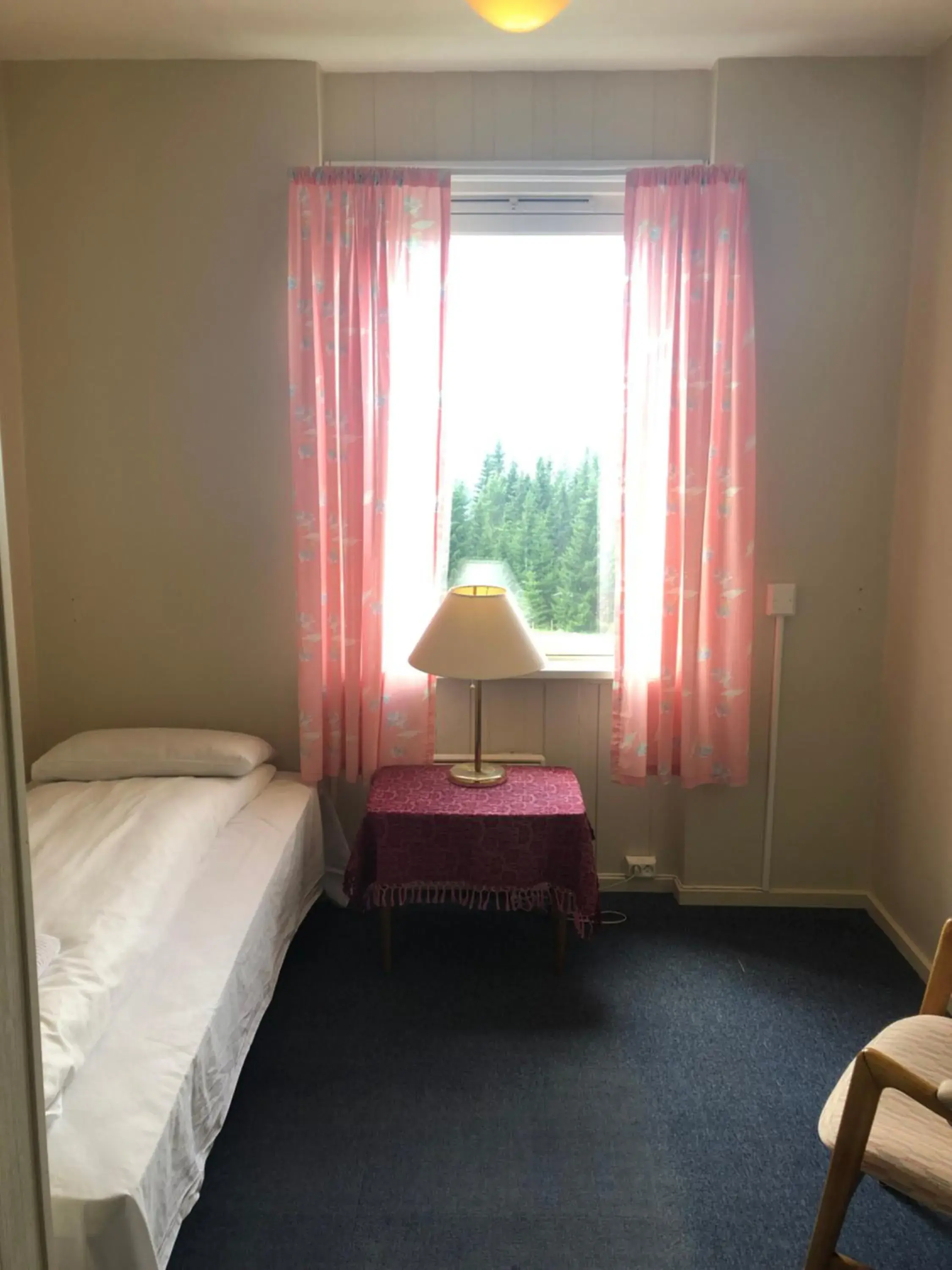 Single Room with Shower in Tronsvangen Seter Single Room with Shower in Tronsvangen Seter