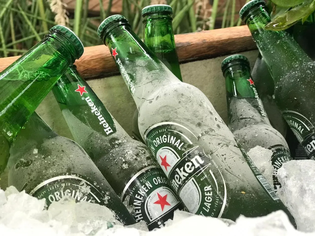 Pousada Ponta do Muta