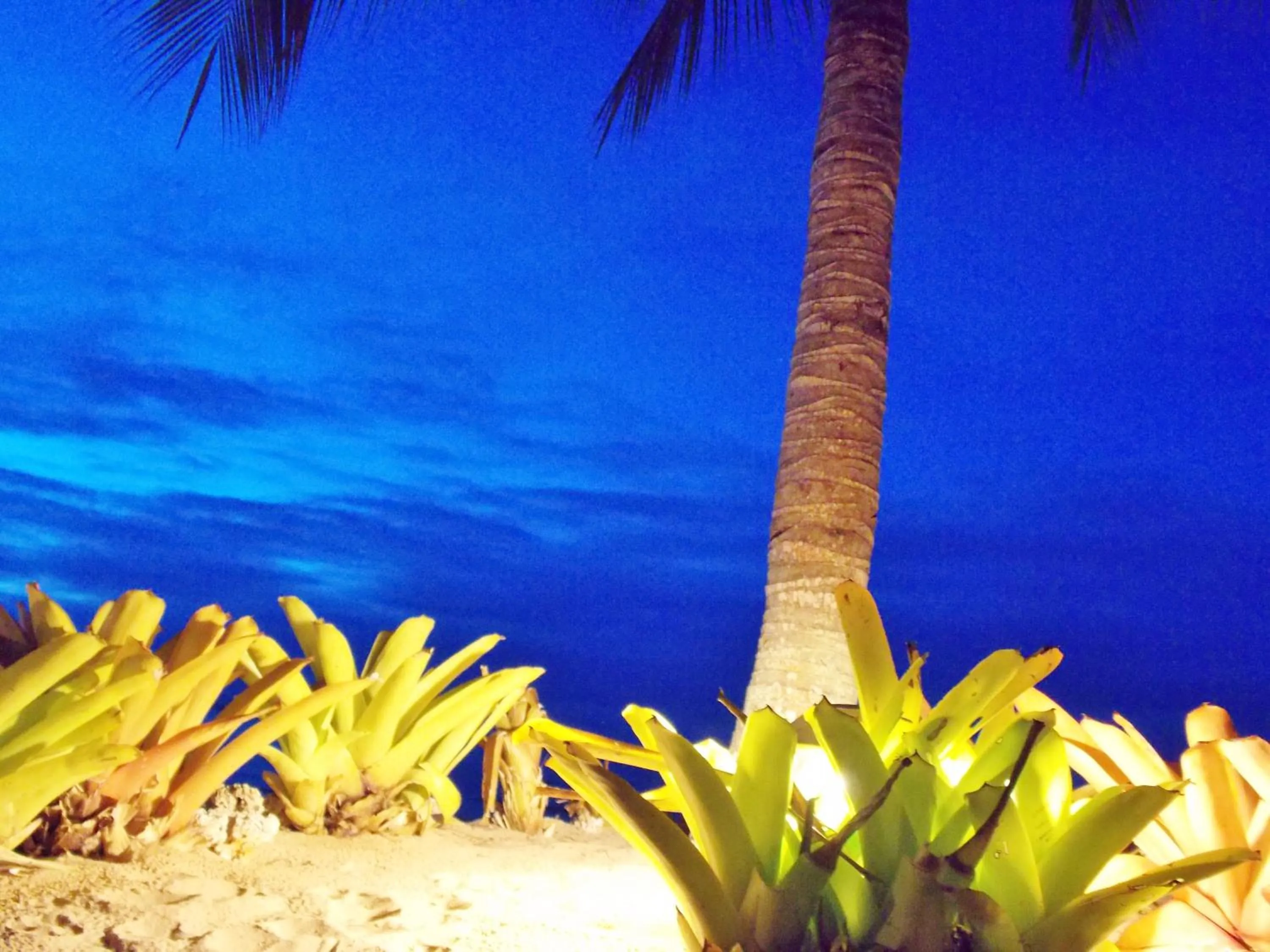 Decorative detail in Pousada Ponta do Muta