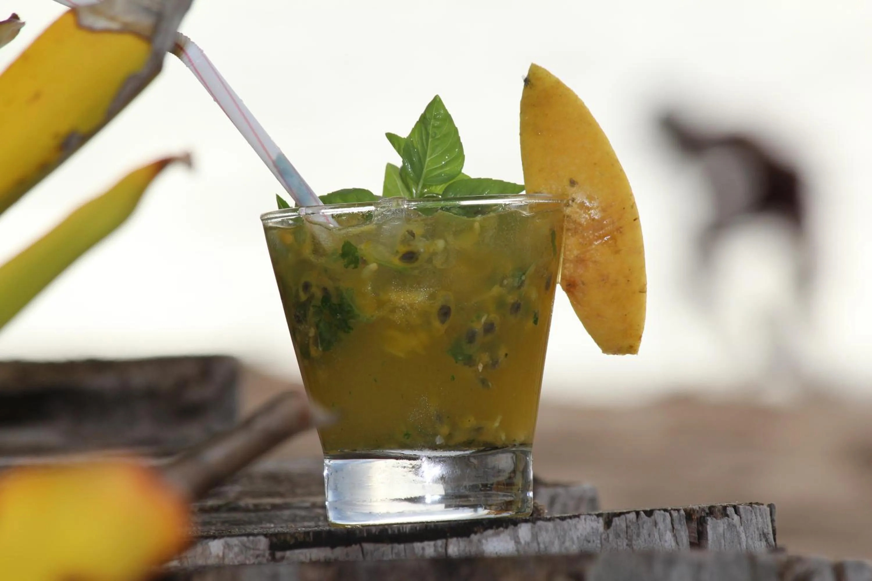 Pousada Ponta do Muta