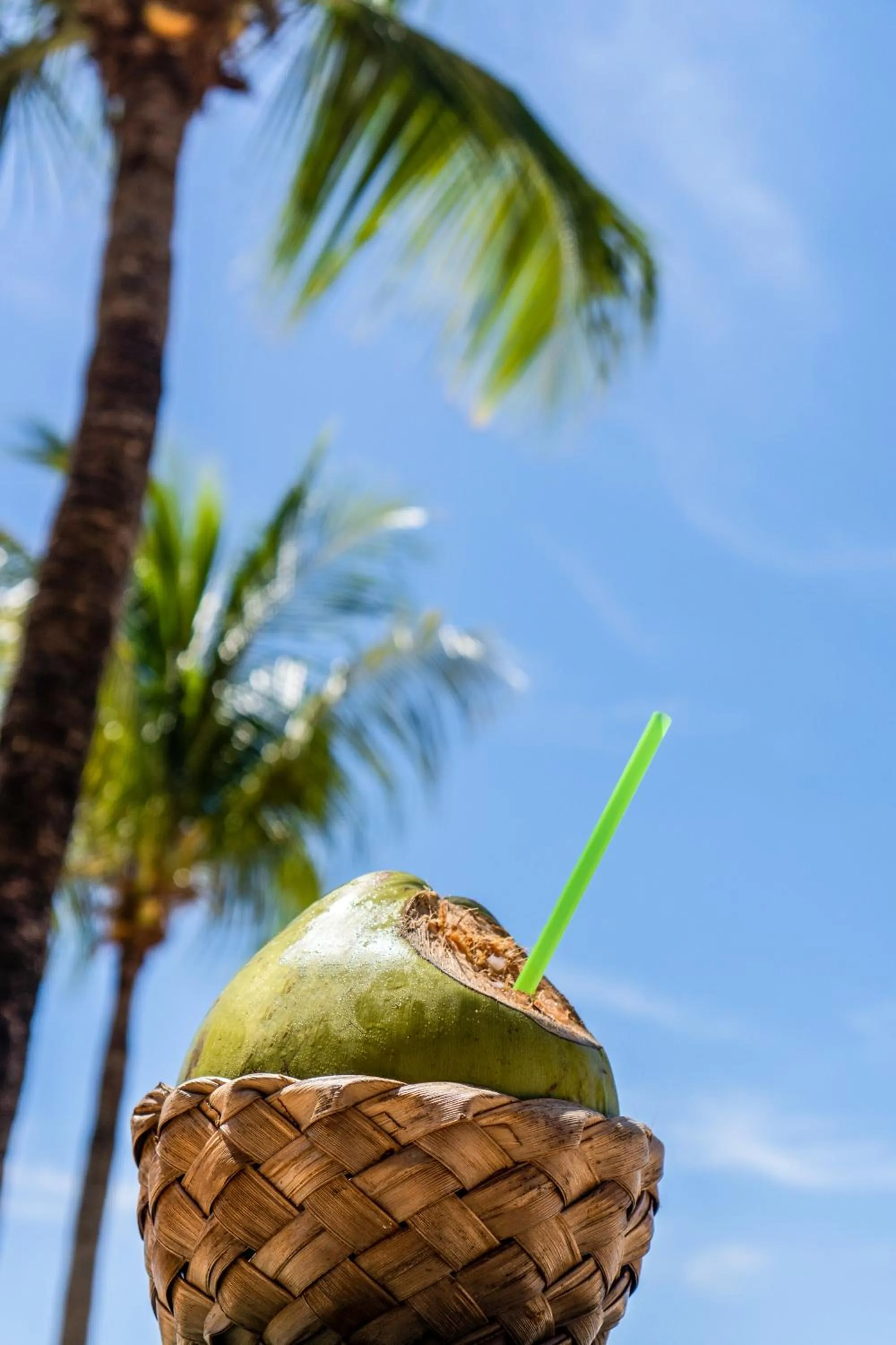 Pousada Ponta do Muta