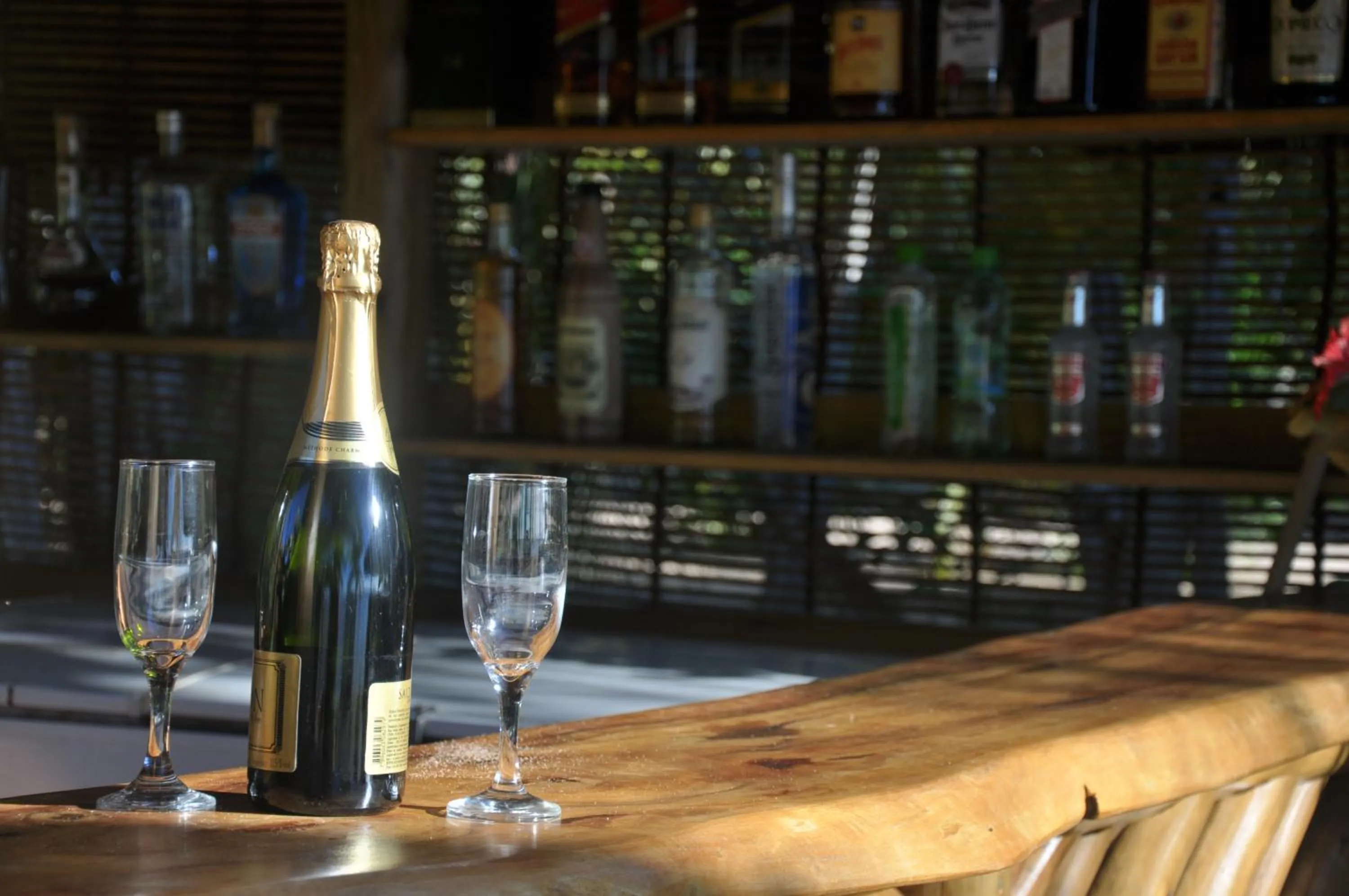 Alcoholic drinks in Pousada Ponta do Muta