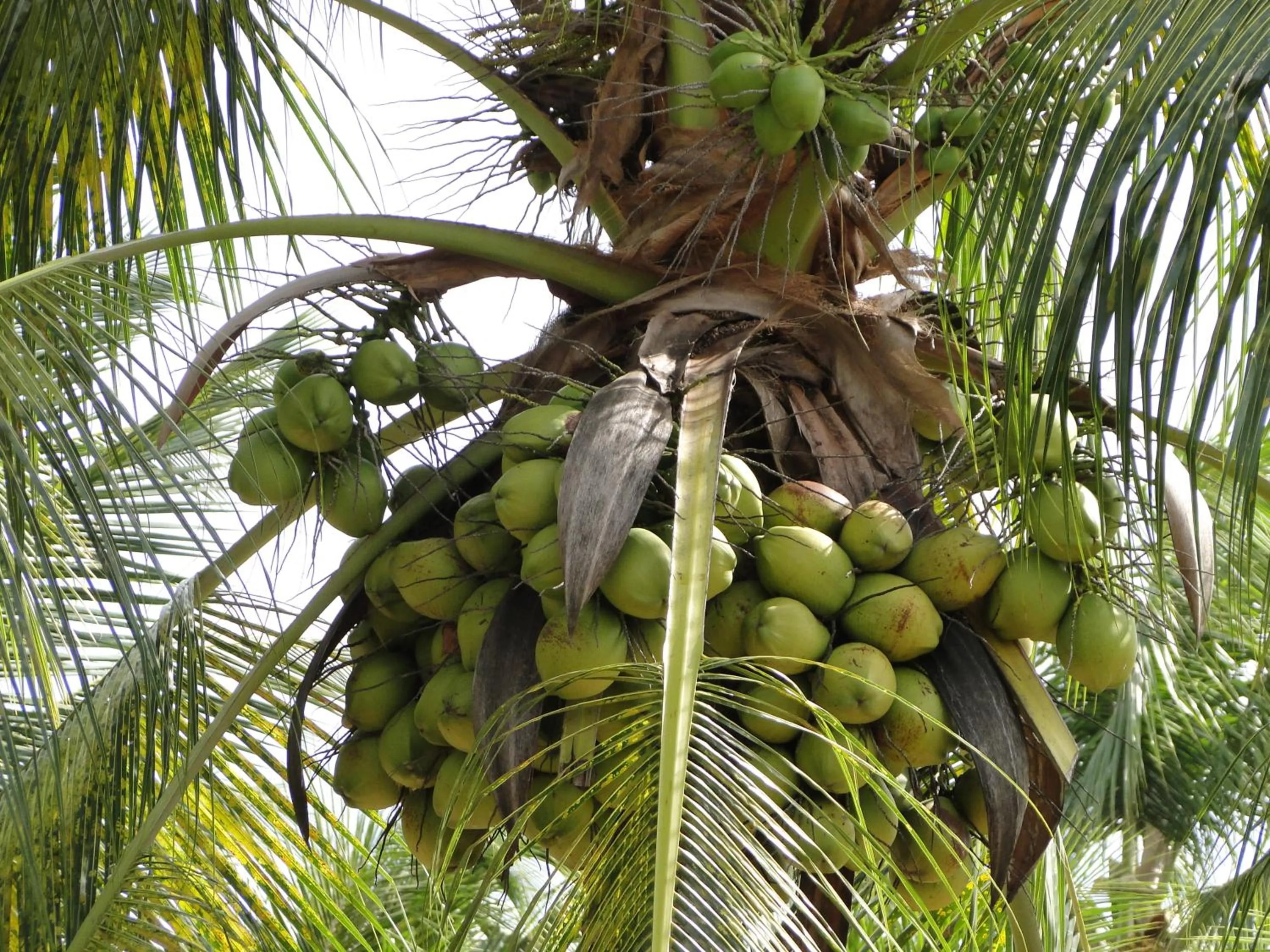 Pousada Ponta do Muta