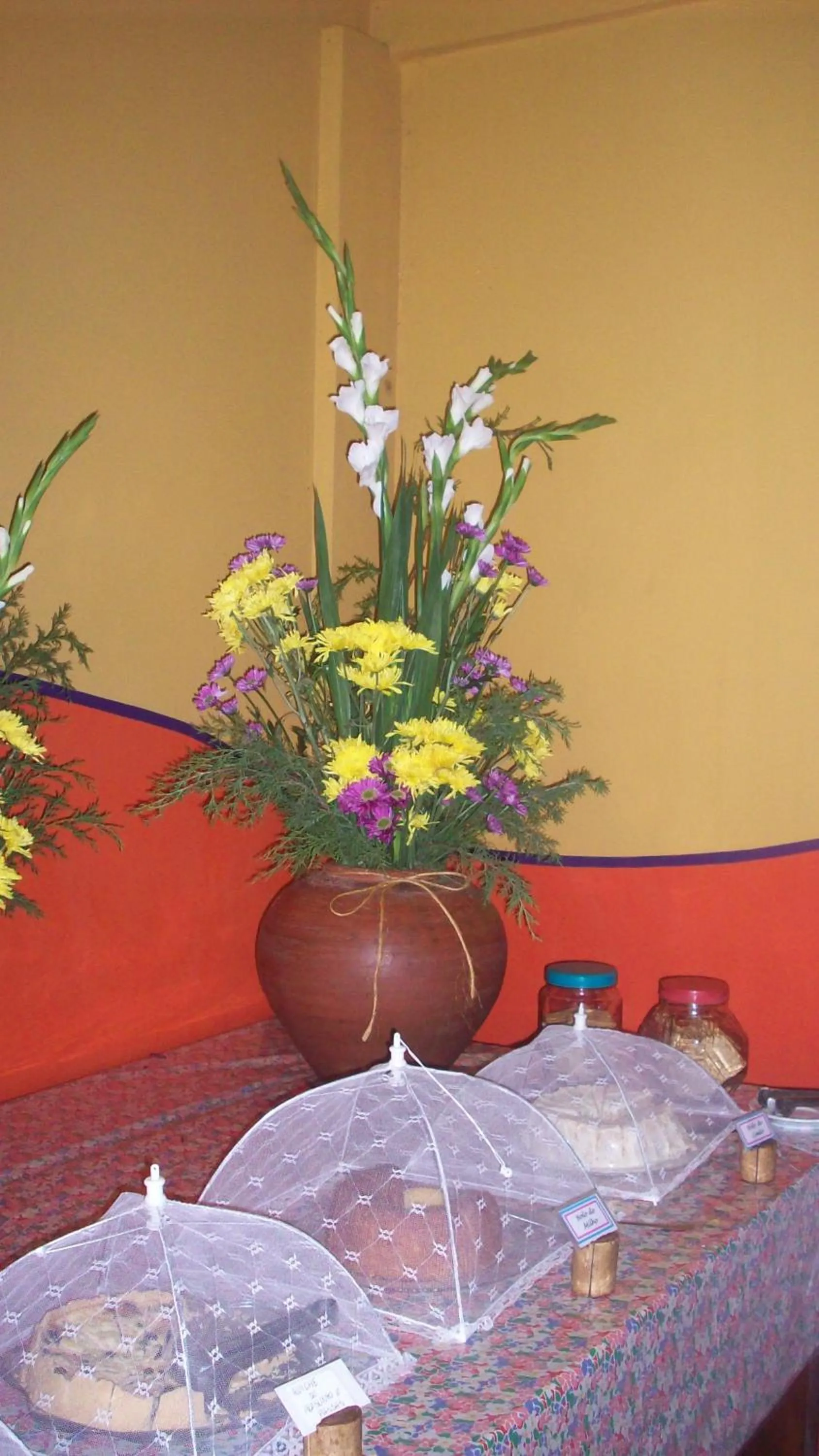 Buffet breakfast in Pousada Ponta do Muta