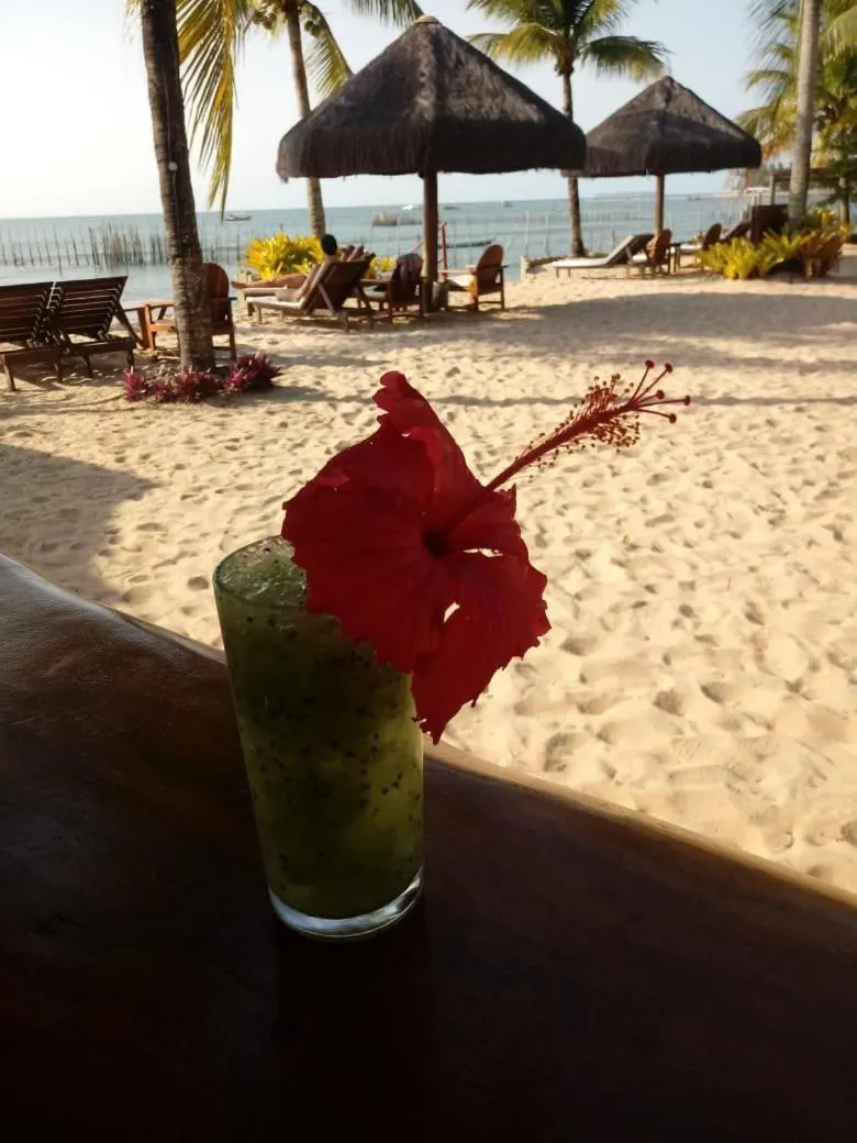 Pousada Ponta do Muta