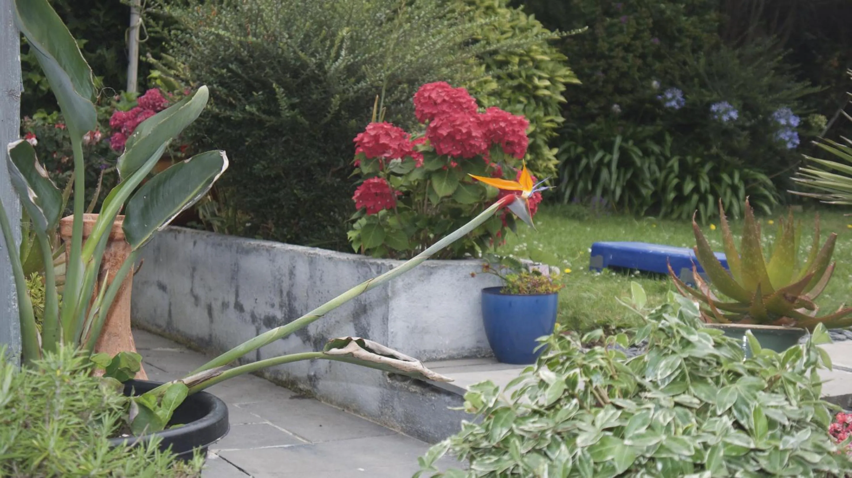 Property building in Skyline Guesthouse