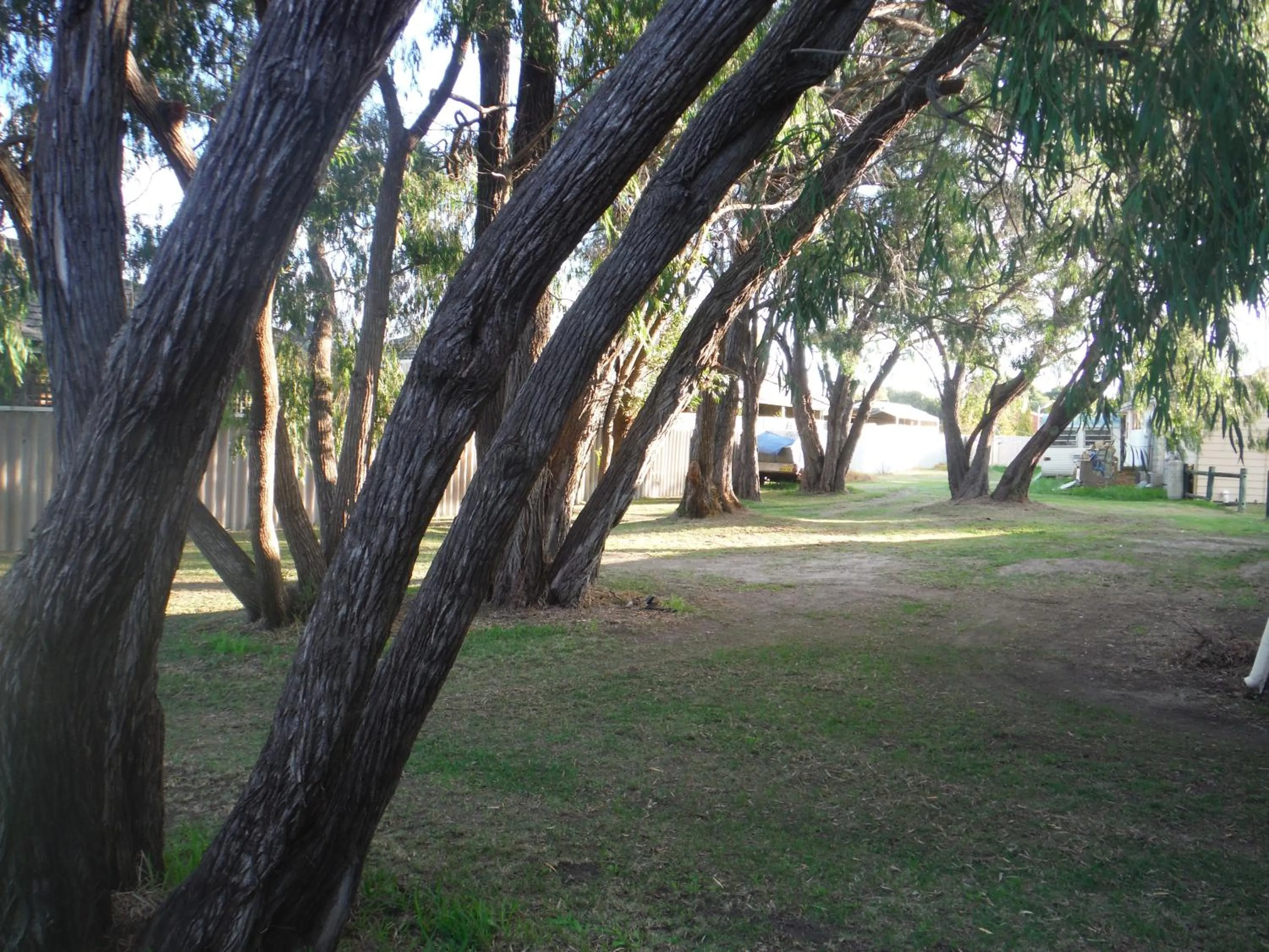 Garden in Restawile Motel