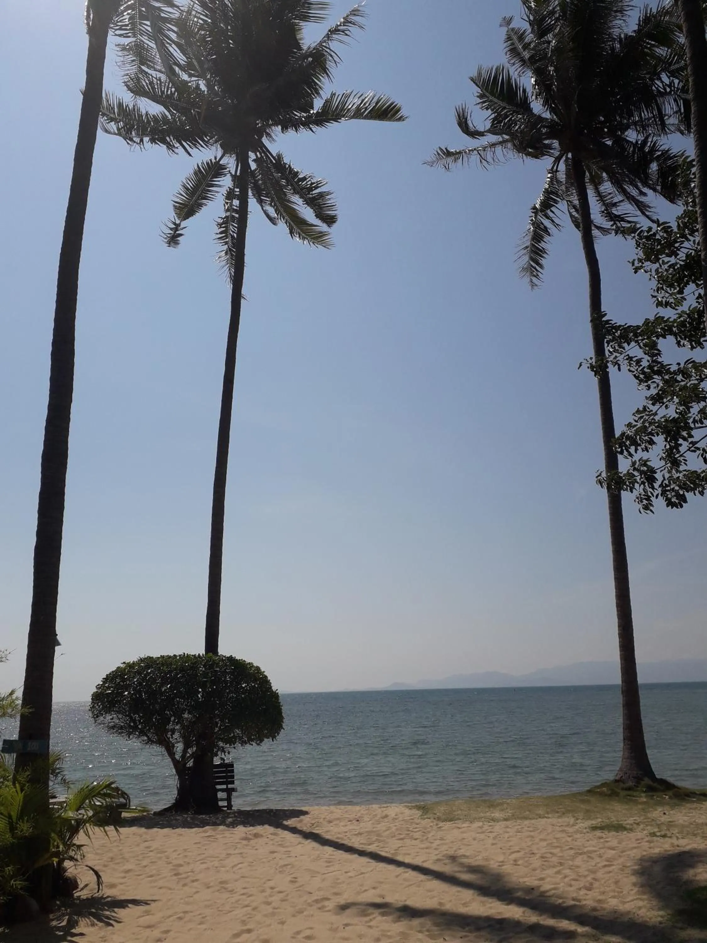 Sea view in Coco Garden Resort