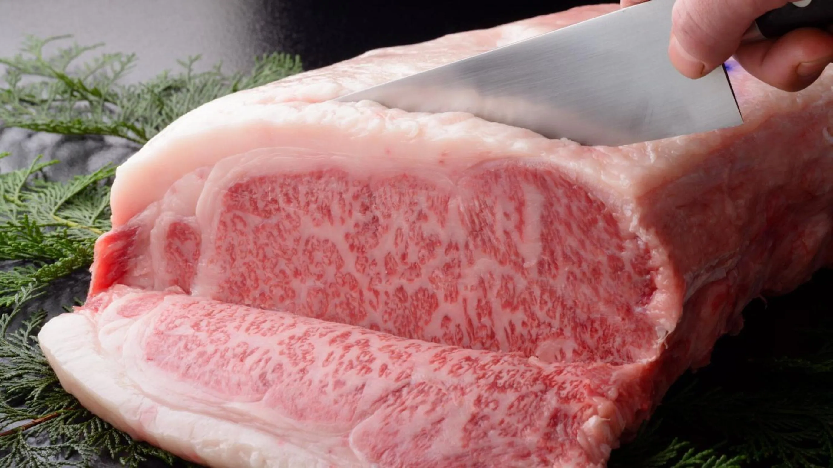 Food in Hotel Isago Kobe