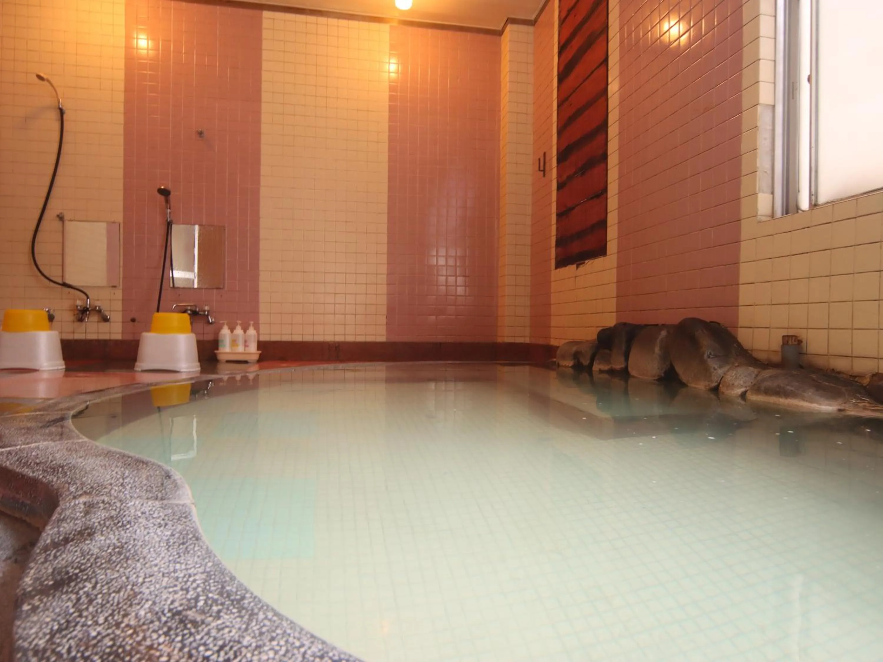 Hot Spring Bath in Star Hotel Akakura