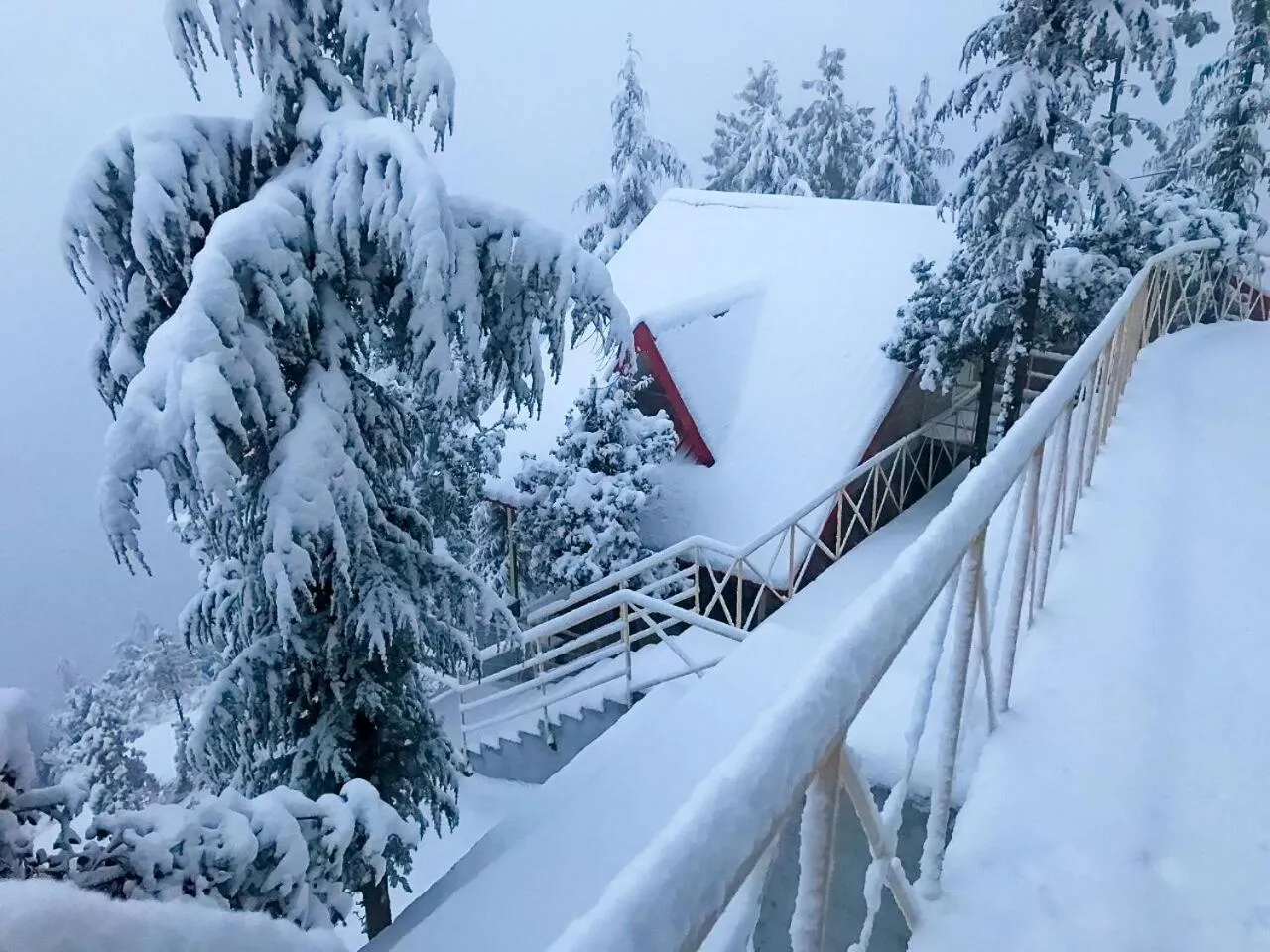 Mountain view in KVR Clarks Inn, Kufri