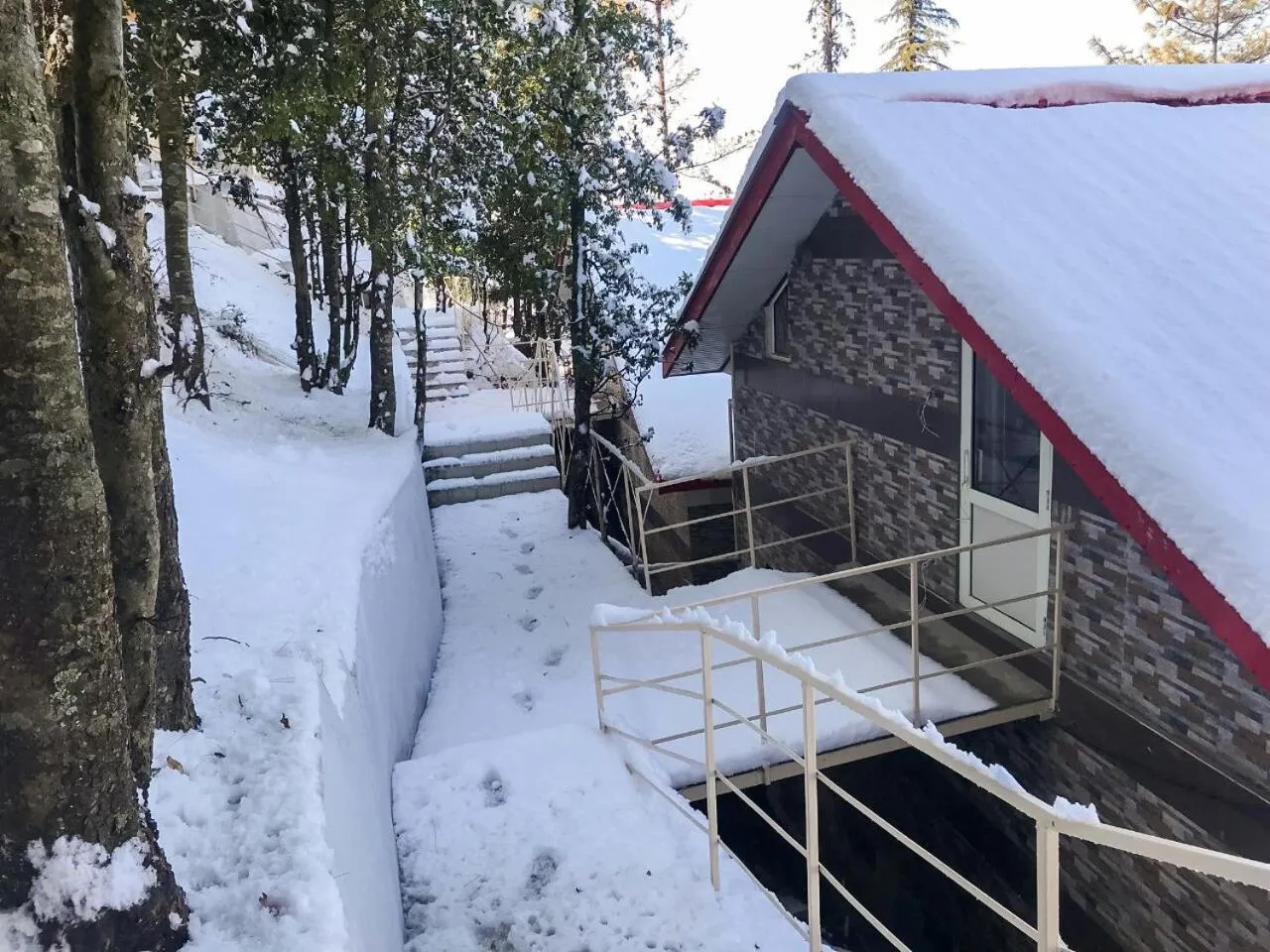 Natural landscape in KVR Clarks Inn, Kufri