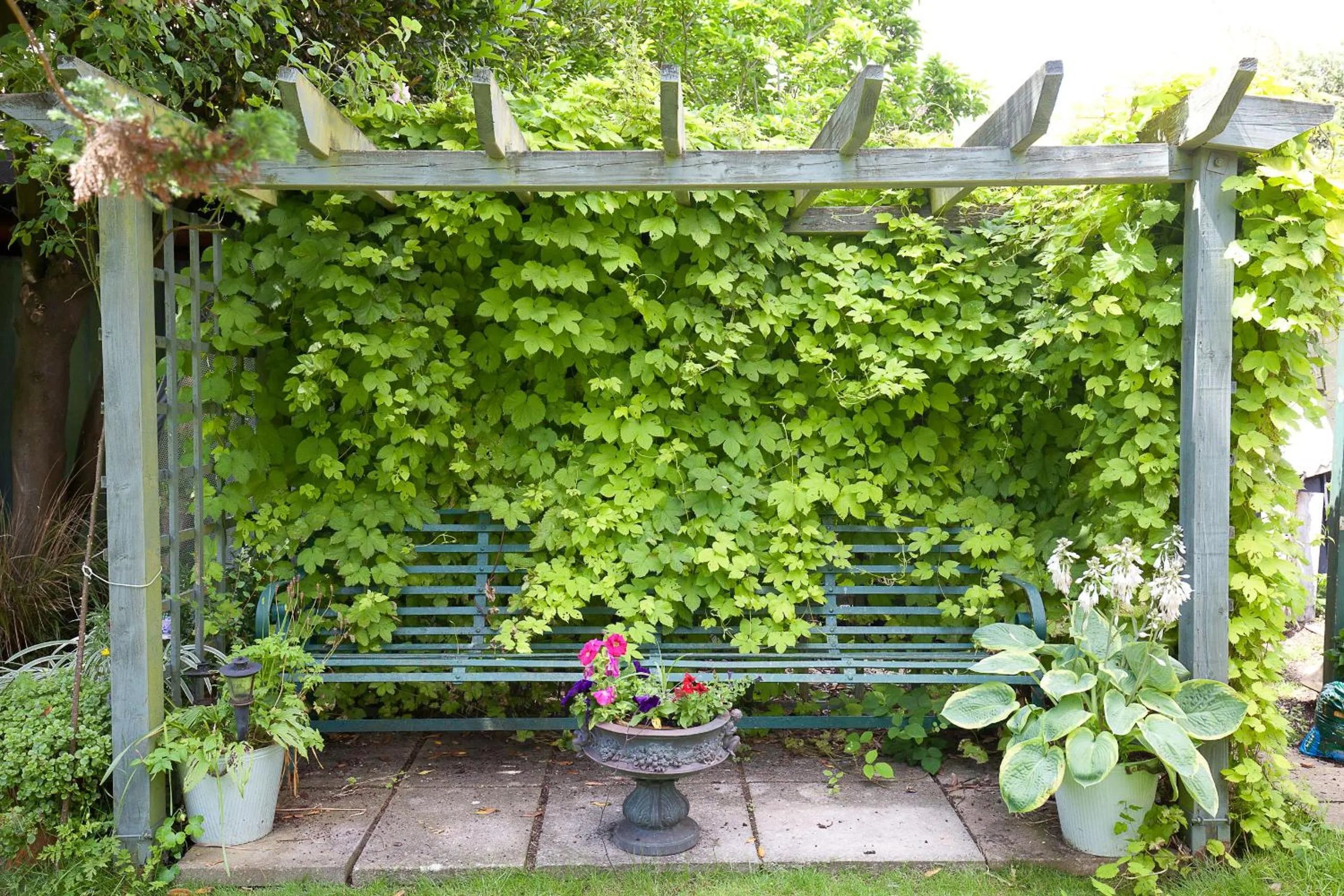 Garden in The Old House Guest House