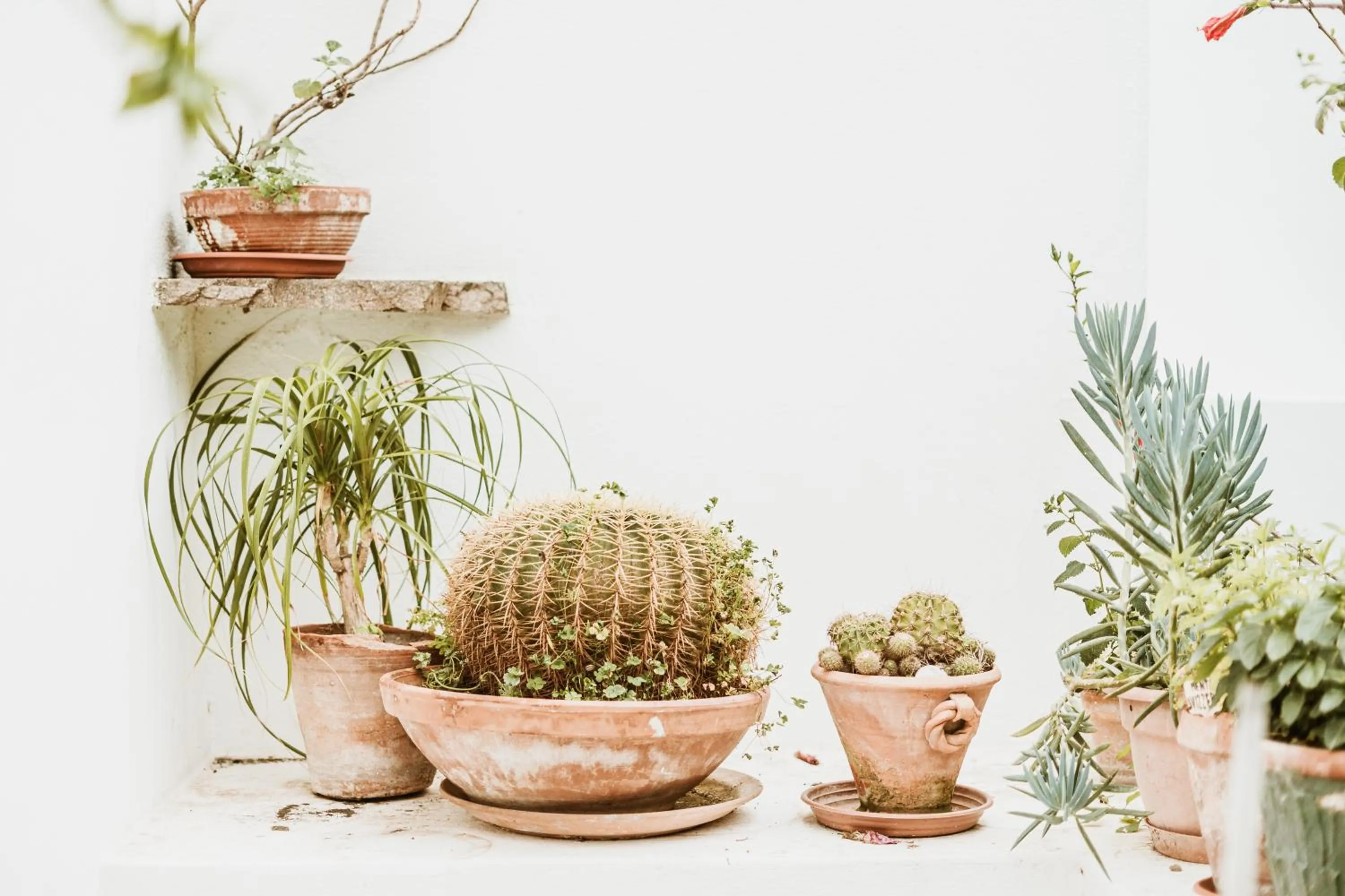 Boutique Hotel I Cinque Balconi