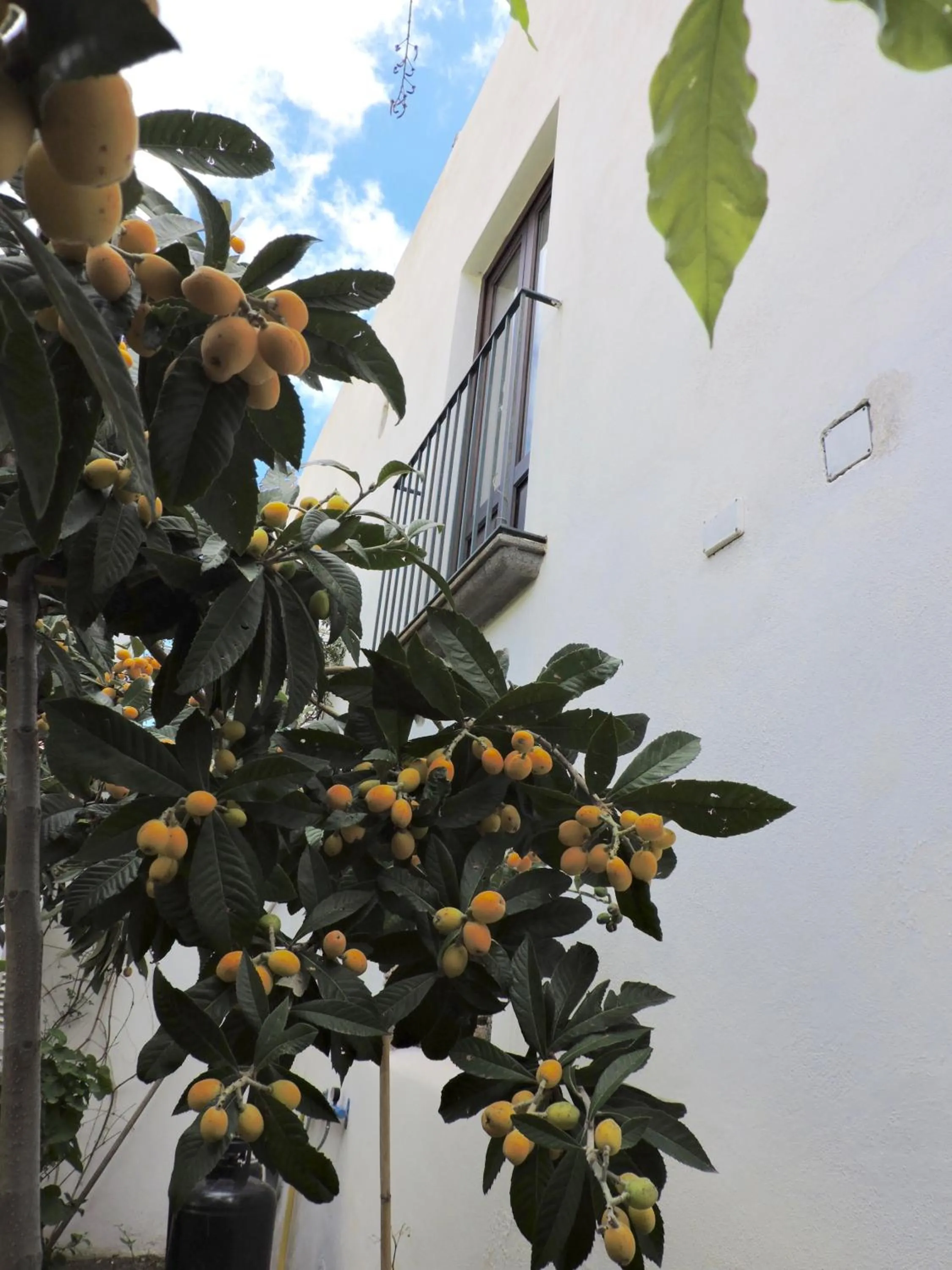 Boutique Hotel I Cinque Balconi