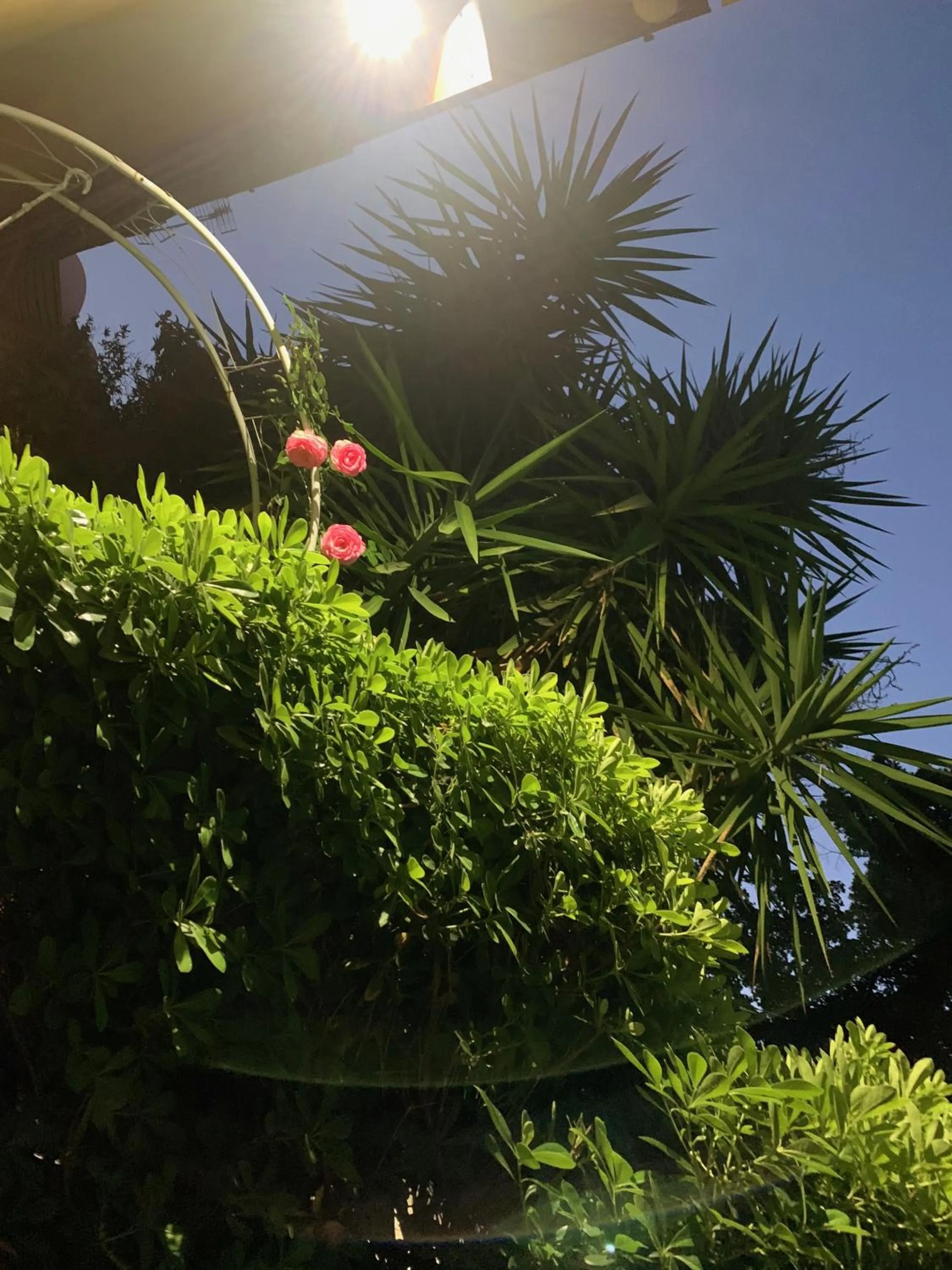 Garden in B&B L'Orologio