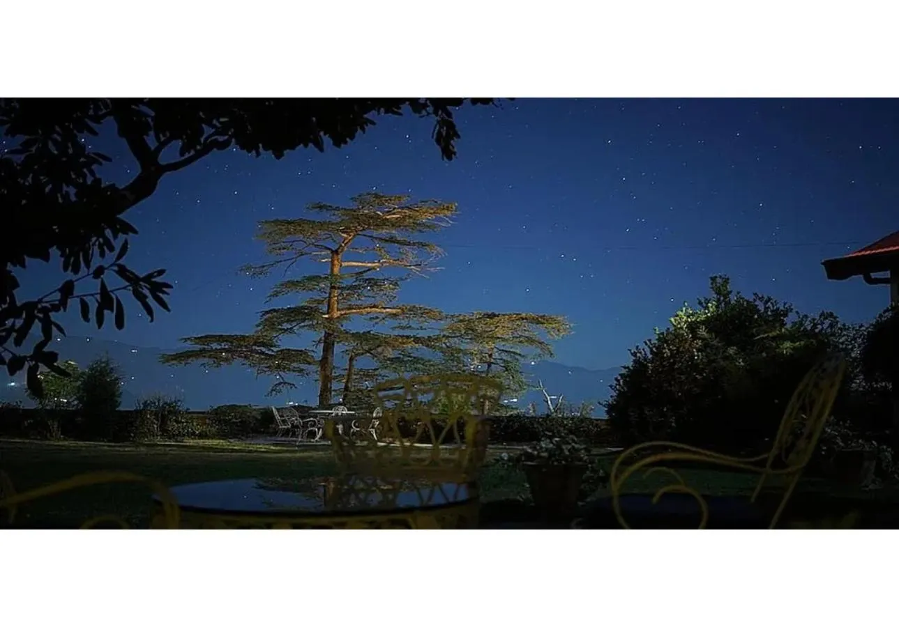 Springfields - A Heritage Palace Since 1902