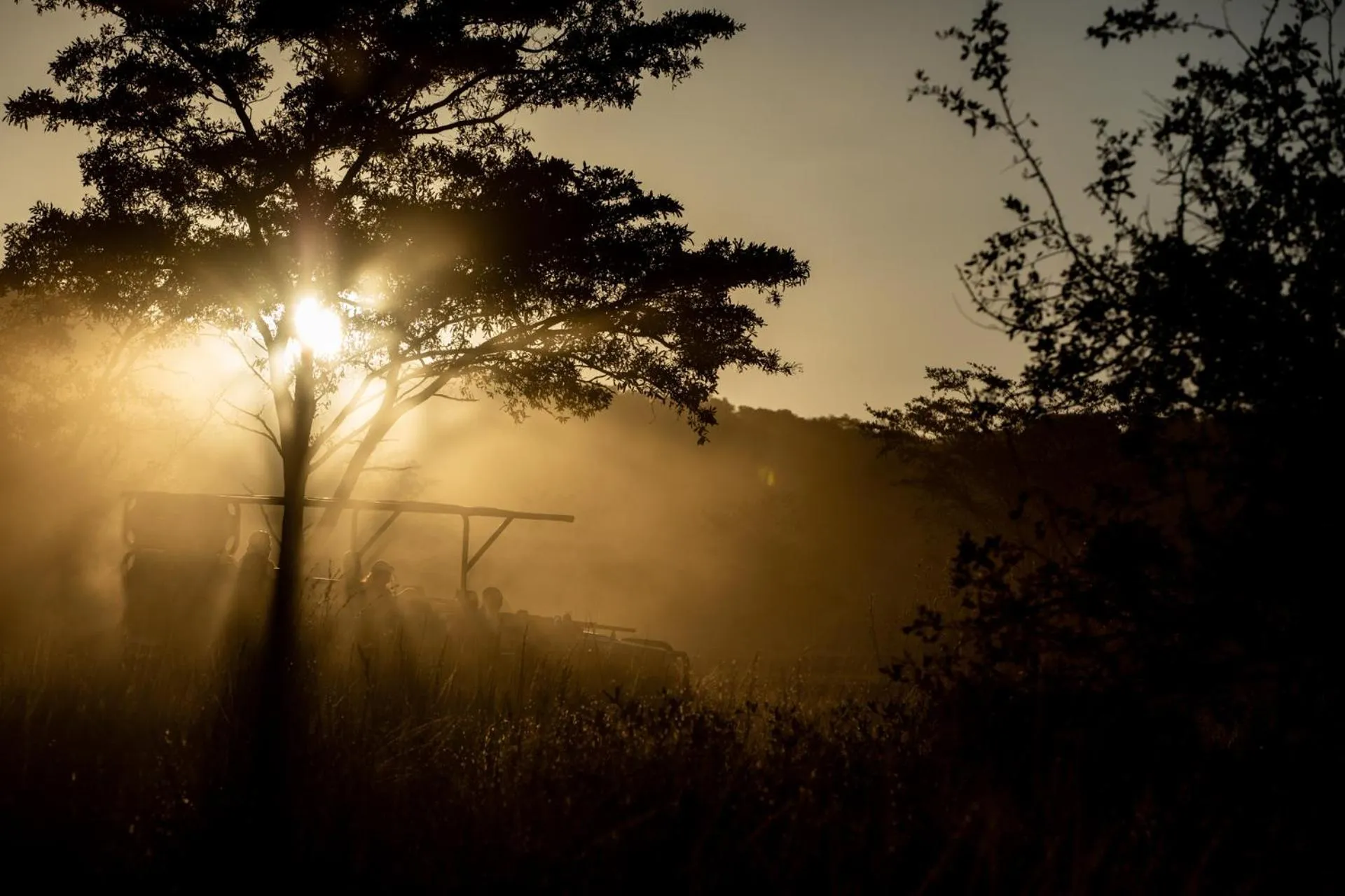 Activities in Mabula Game Lodge