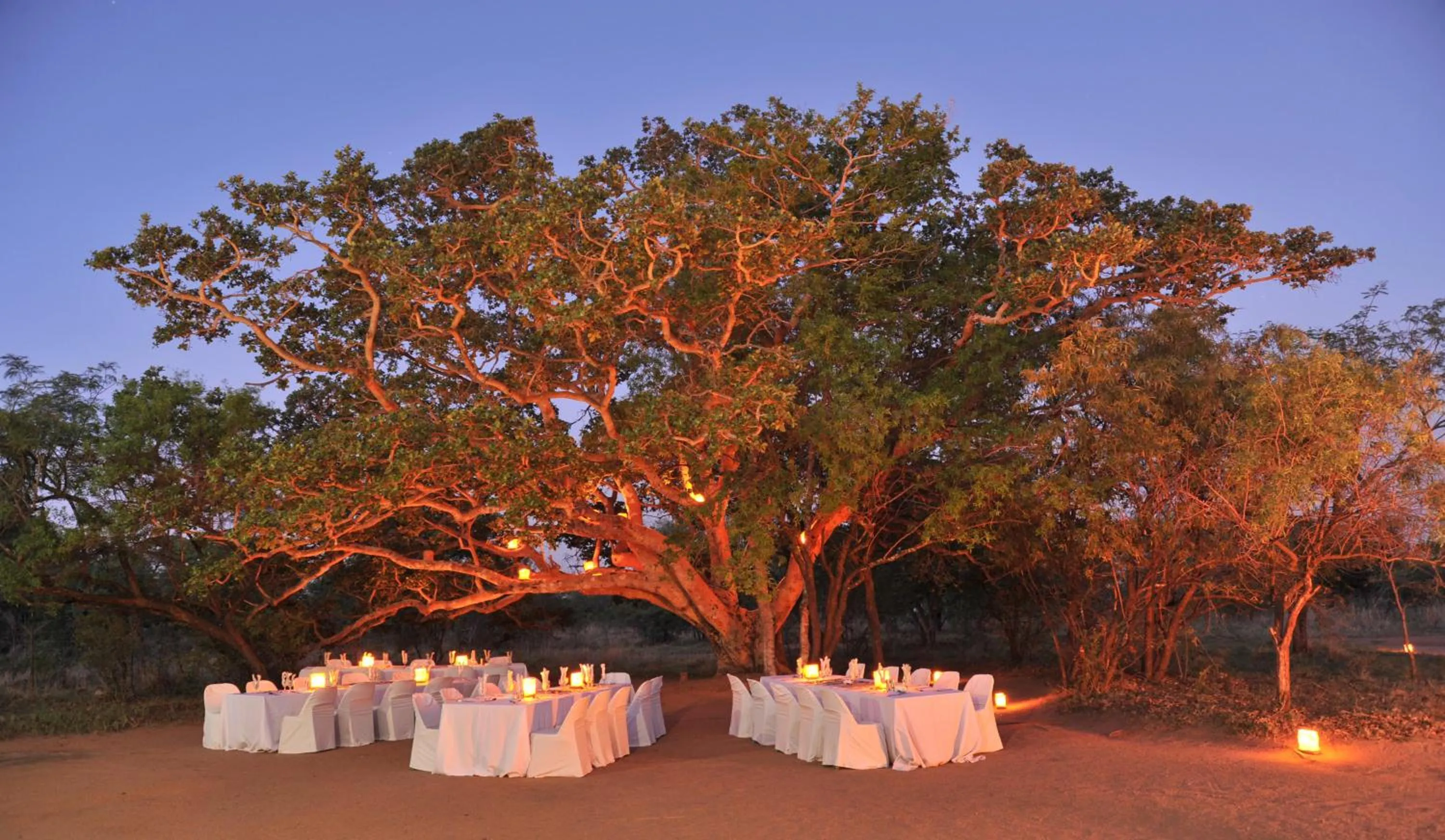 Restaurant/places to eat in Mabula Game Lodge