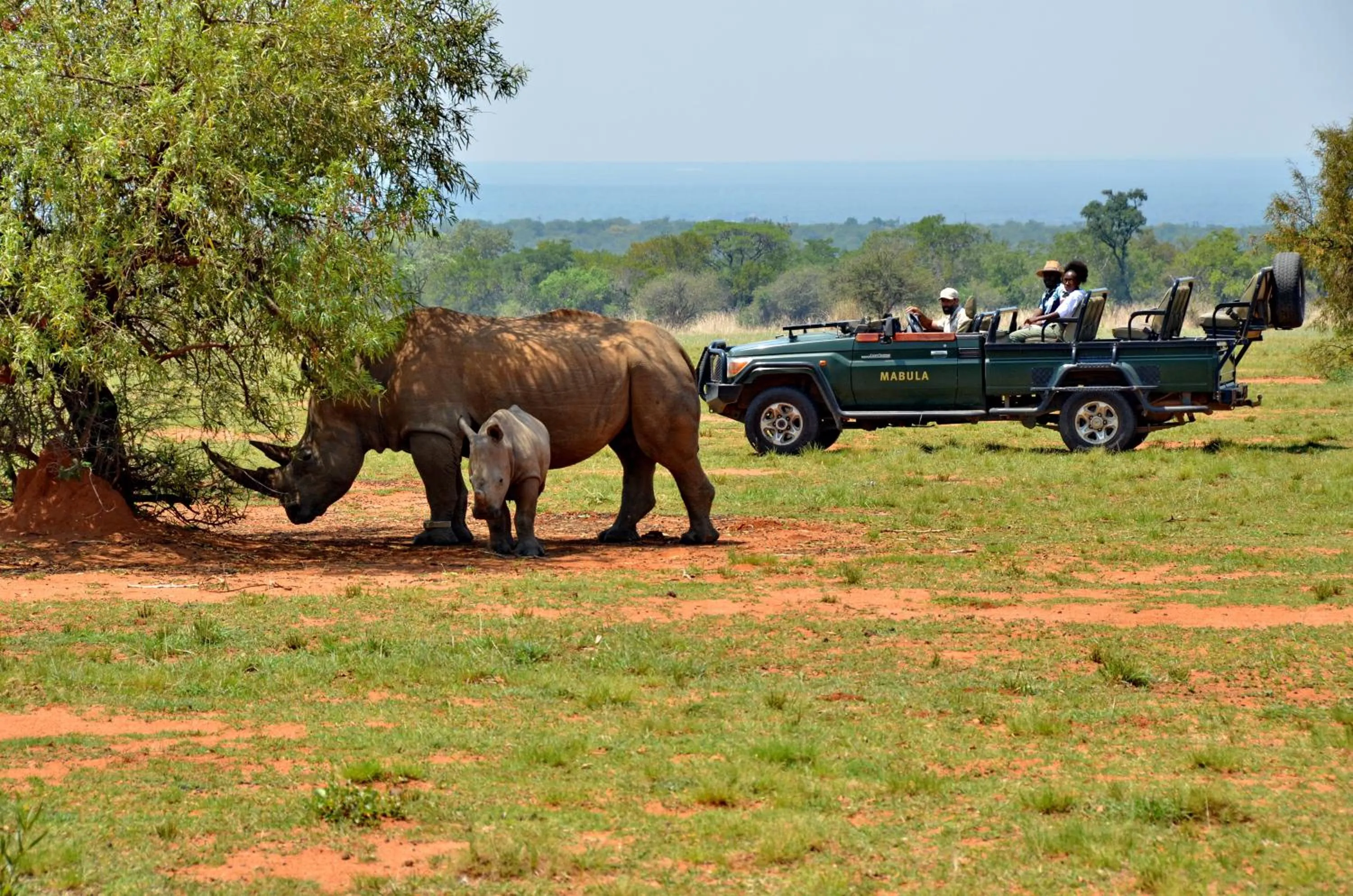 Activities in Mabula Game Lodge