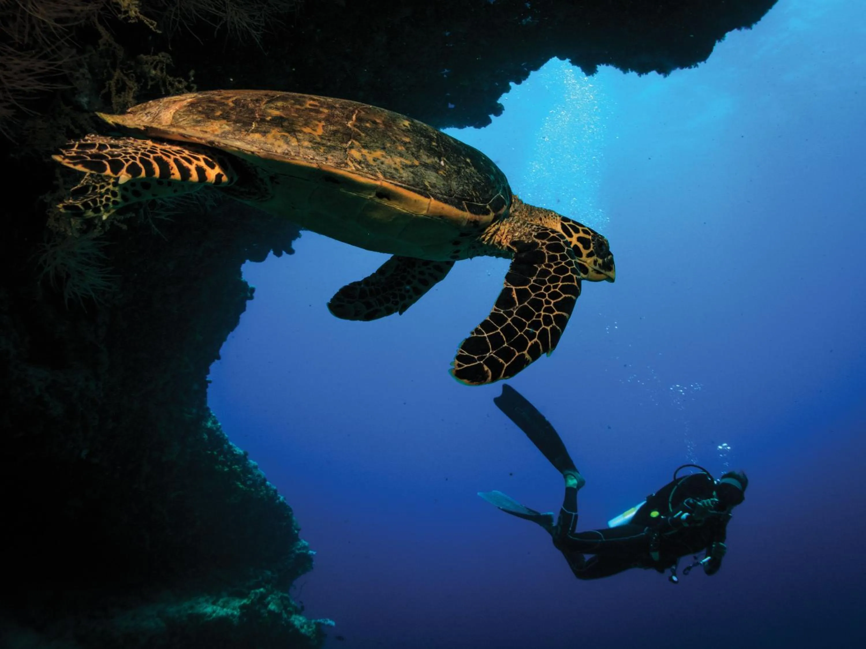 Activities in OBLU SELECT Sangeli - Premium All Inclusive with Free Transfers