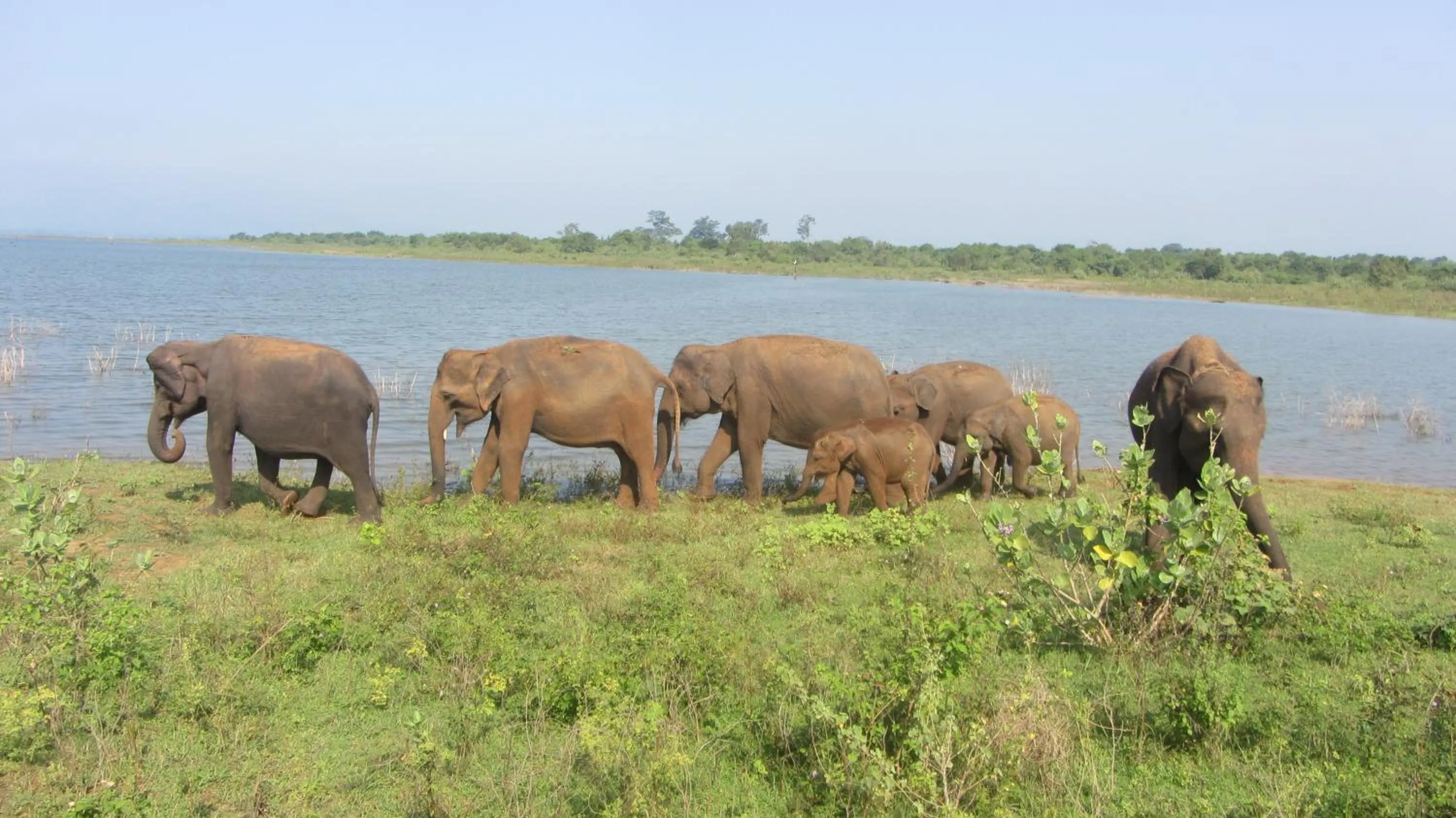 Natural landscape in Ladja Beach Resort