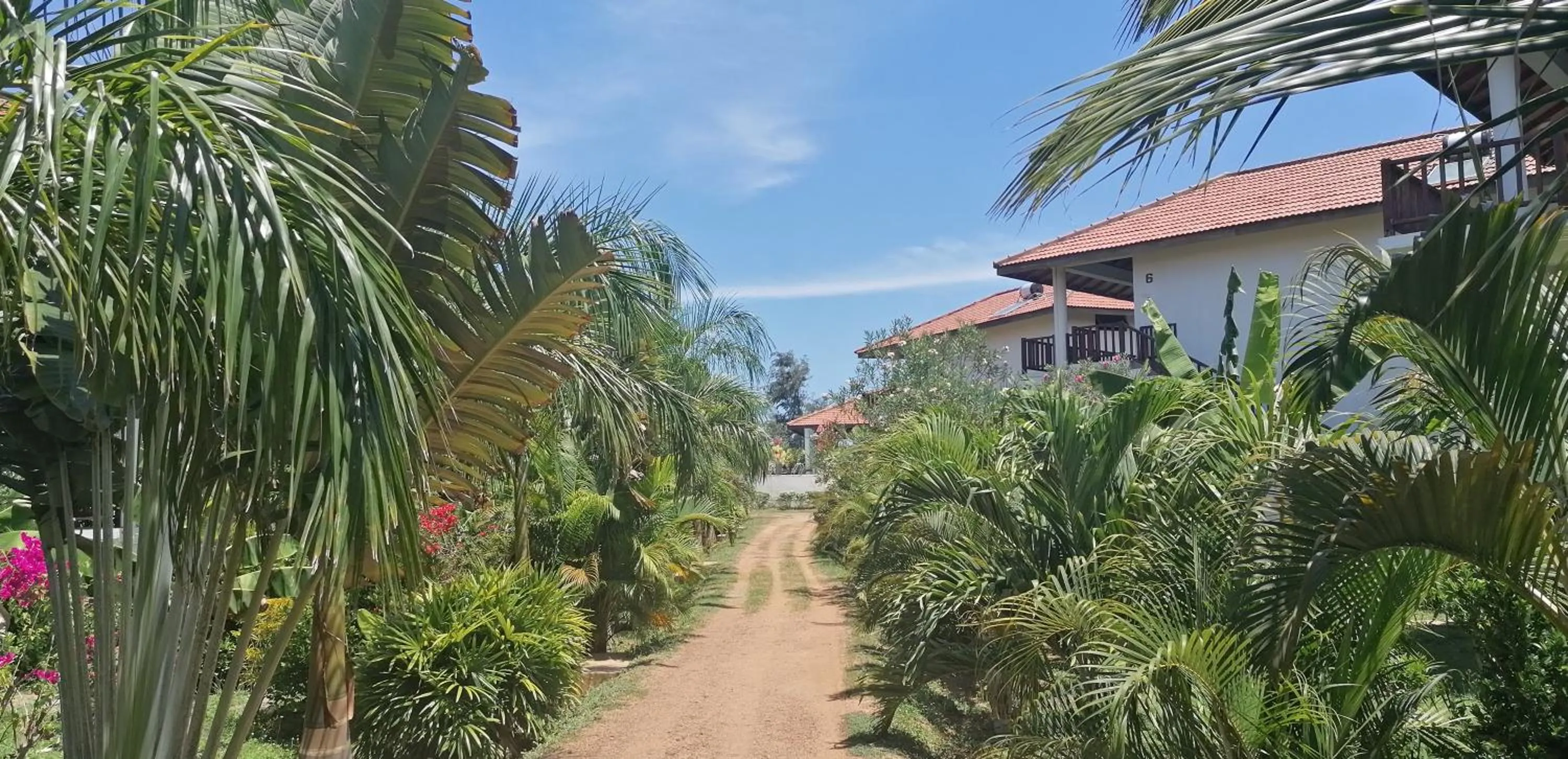 Garden in Ladja Beach Resort