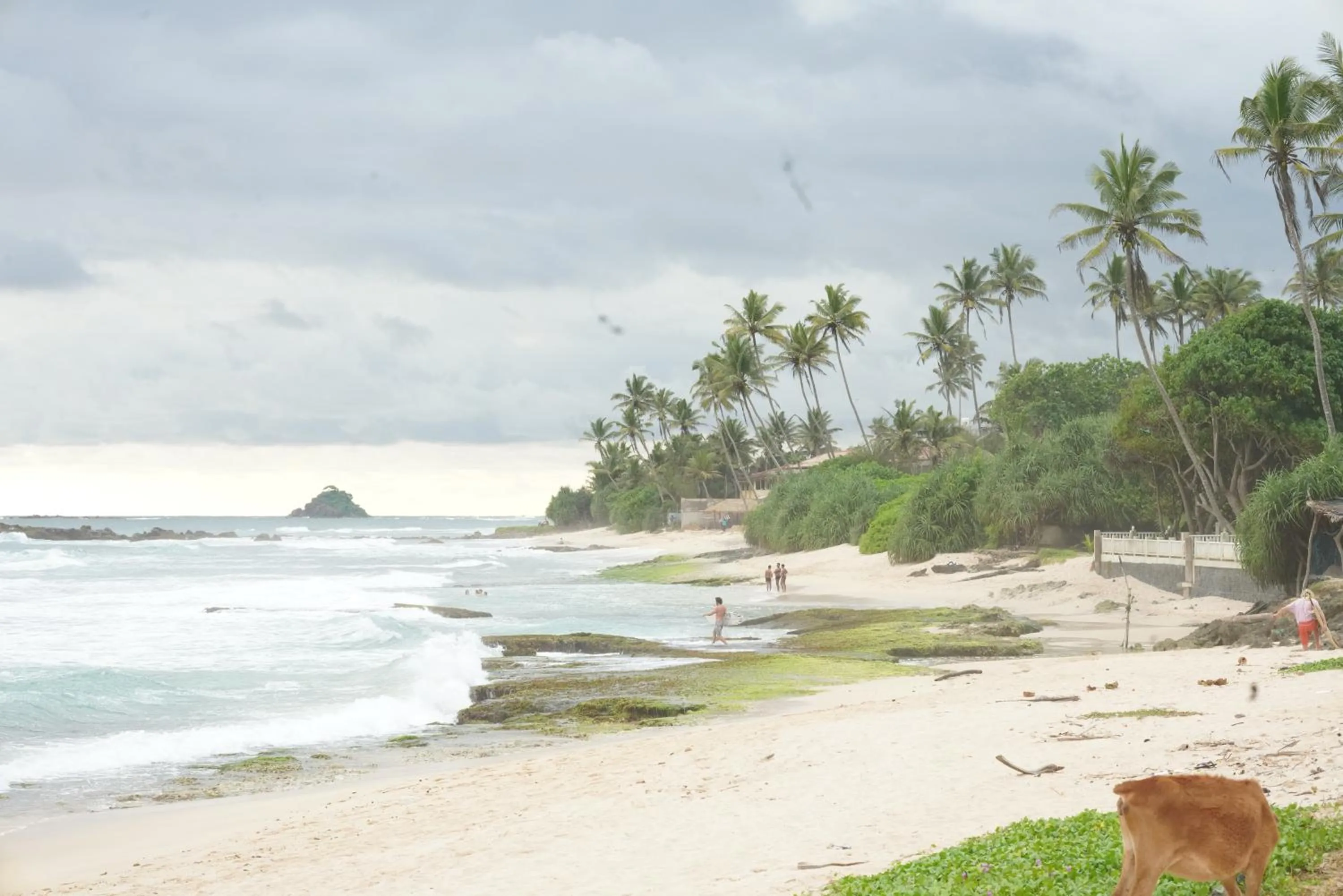 Beach in Surf Orchid Villa