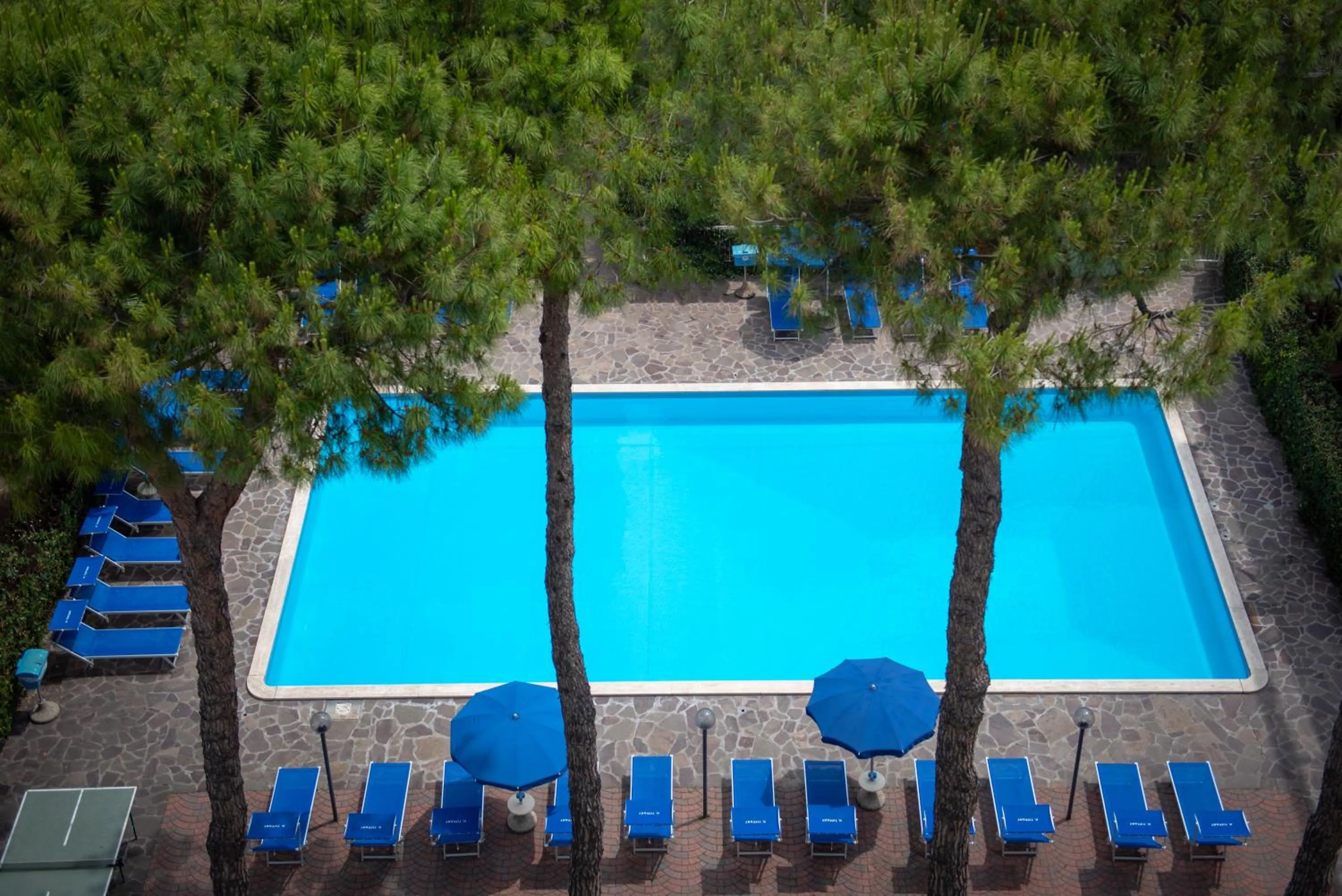 Swimming pool in Hotel Tiffany