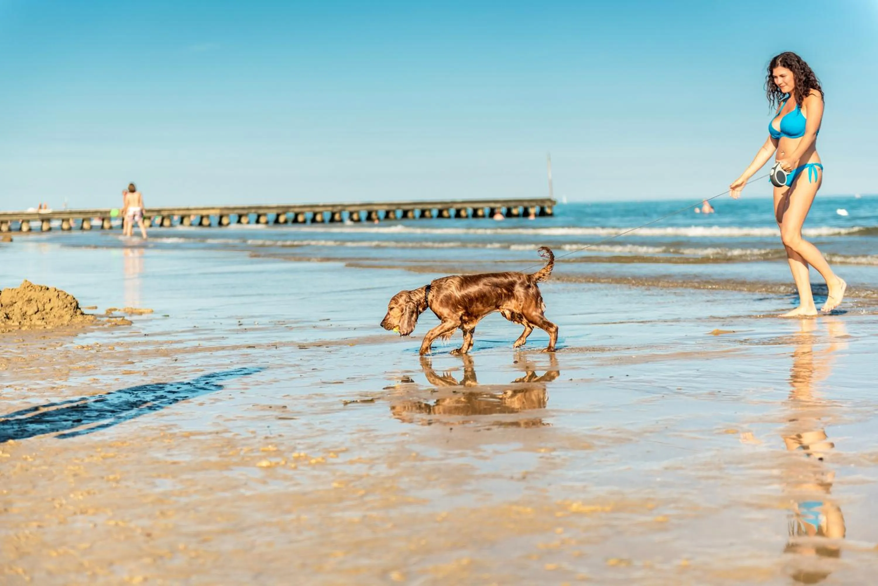 Beach in Hotel Residence Mara
