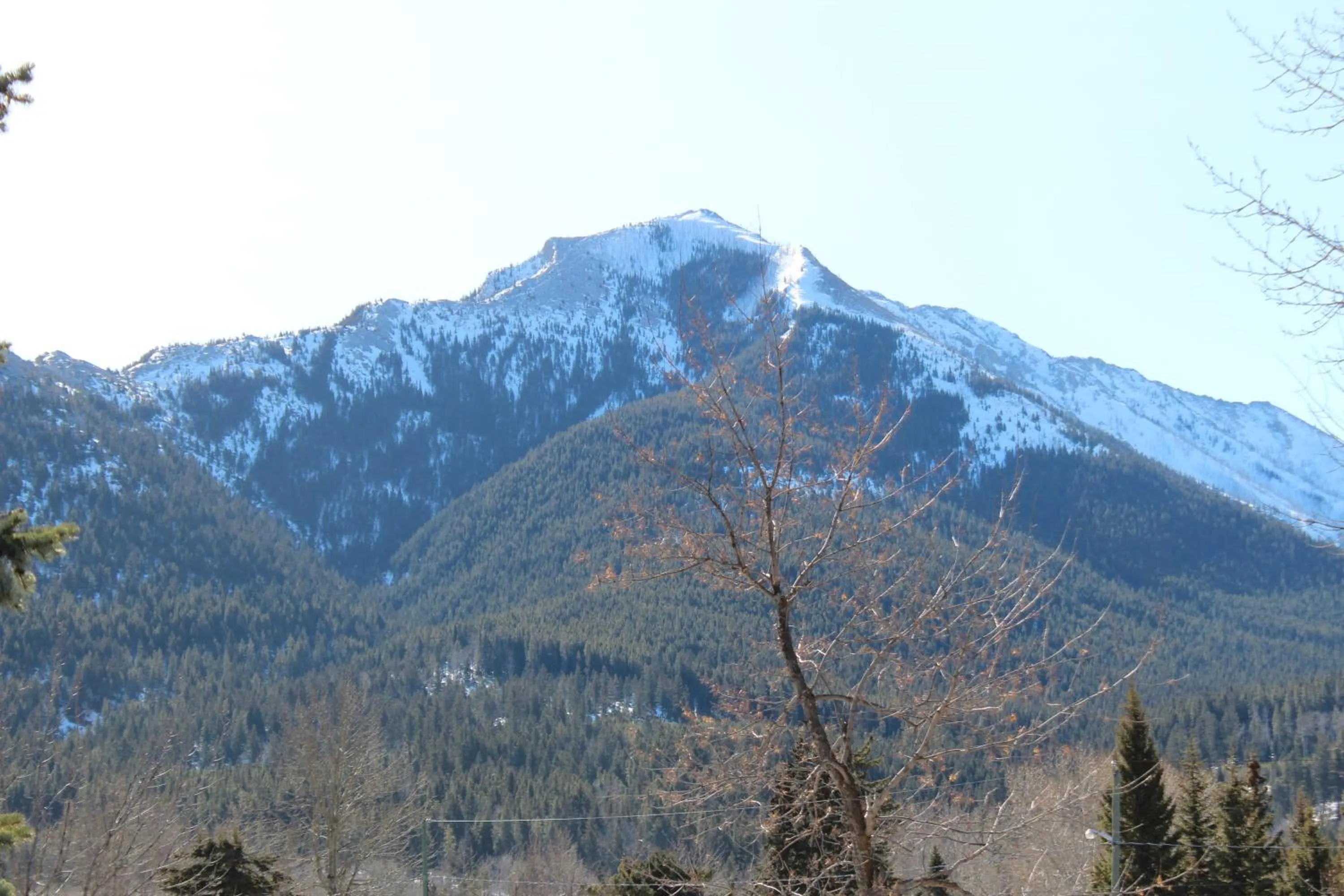 Horse-riding in The Cosmopolitan Hotel