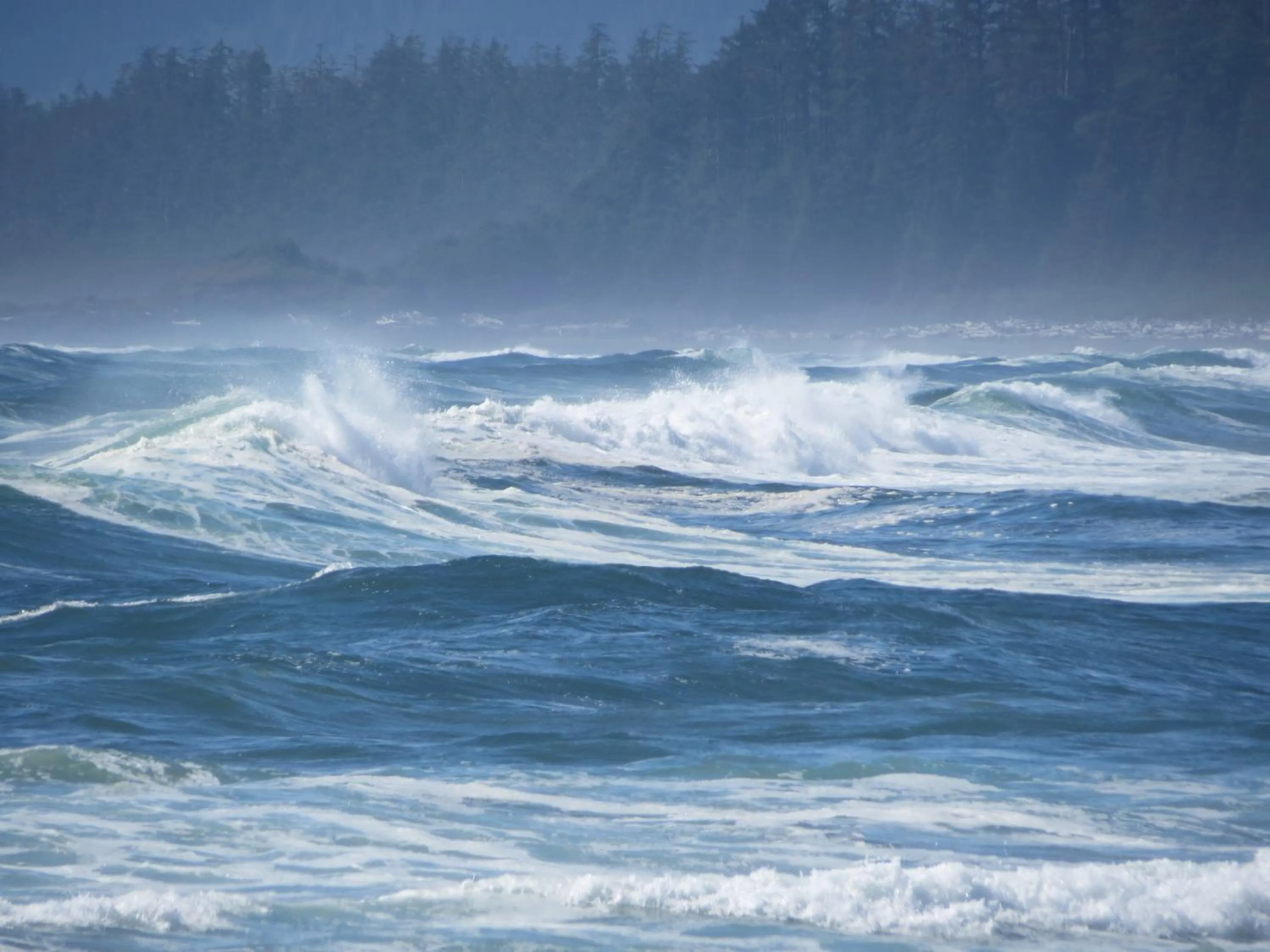 Hiking in Cobble Wood and Bird Sanctuary Guest Houses