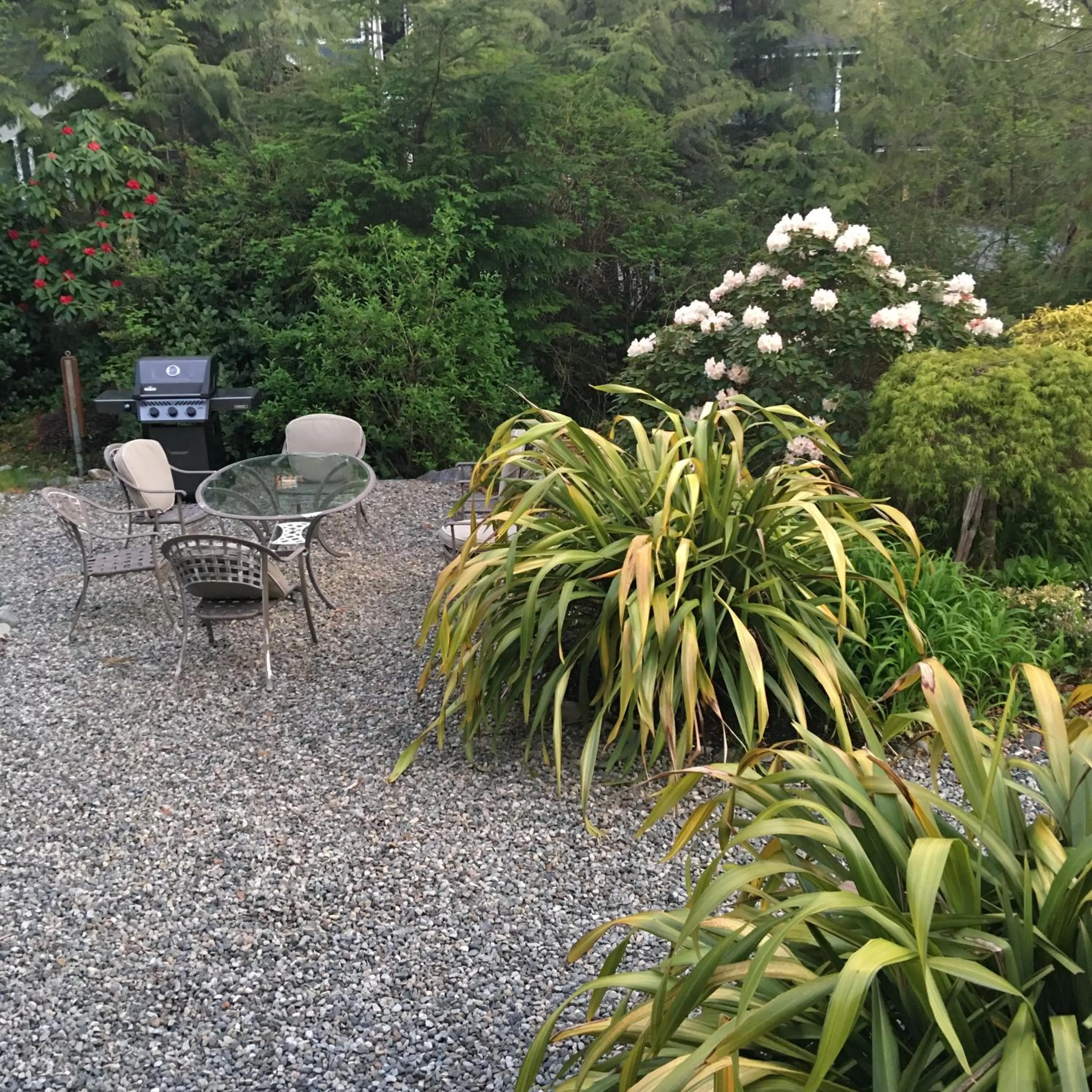 Garden in Cobble Wood and Bird Sanctuary Guest Houses