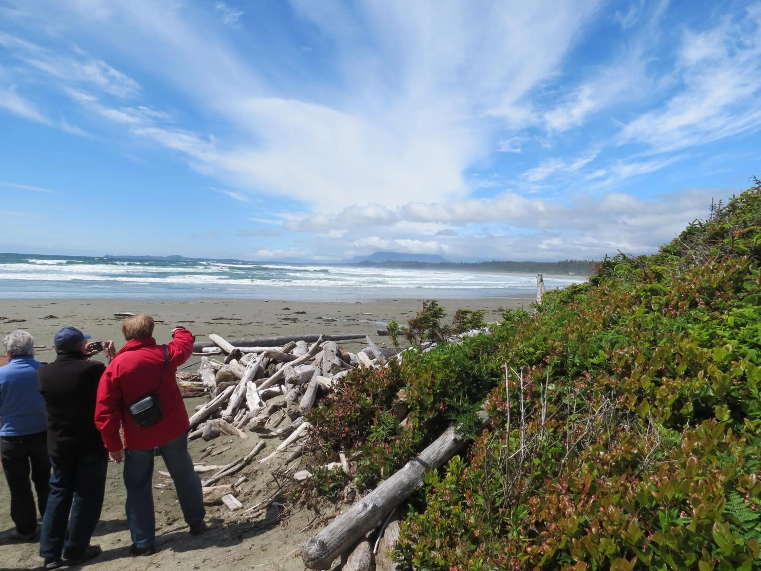 Area and facilities in Cobble Wood and Bird Sanctuary Guest Houses
